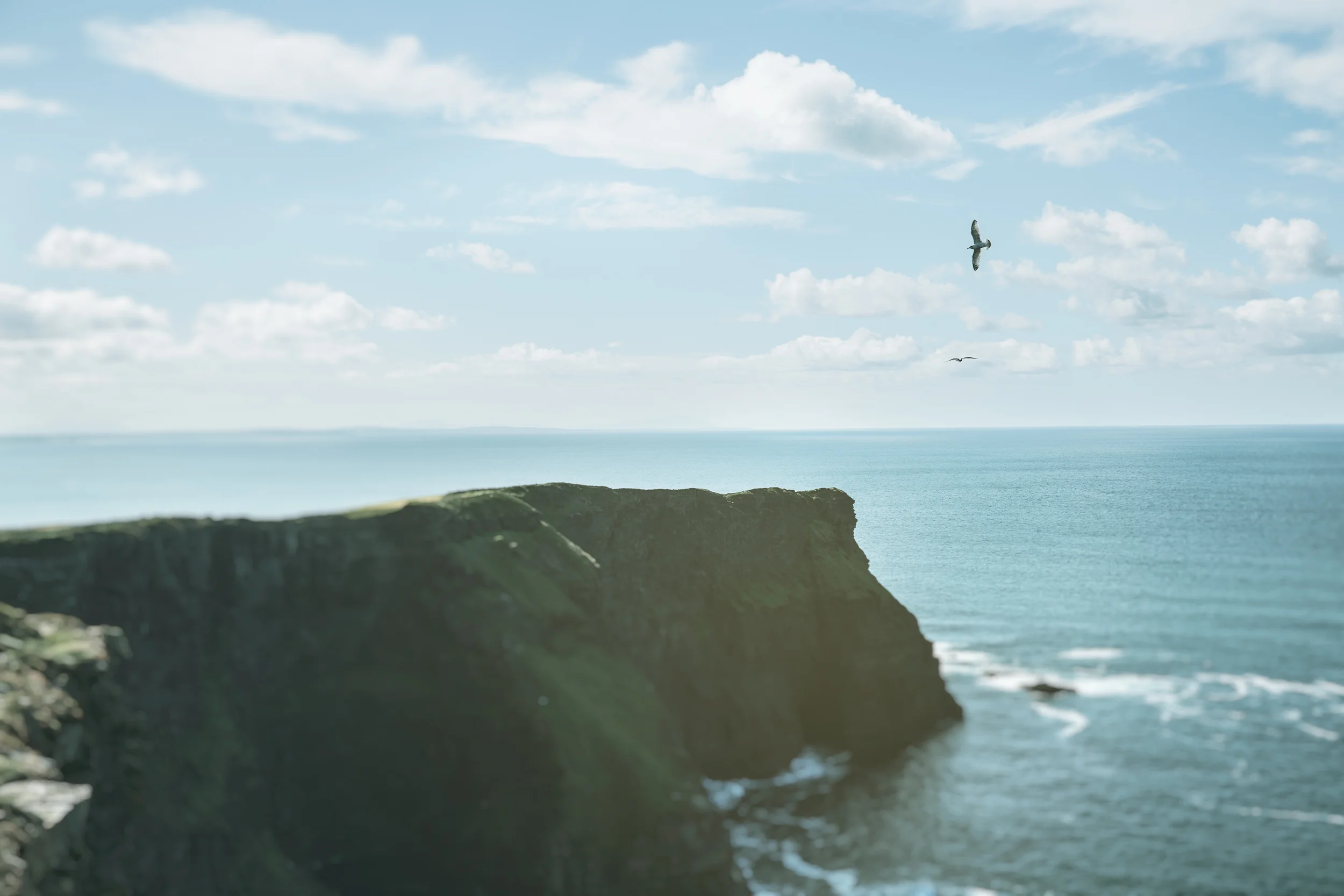 Cliffs of Moher, Ireland _.jpg