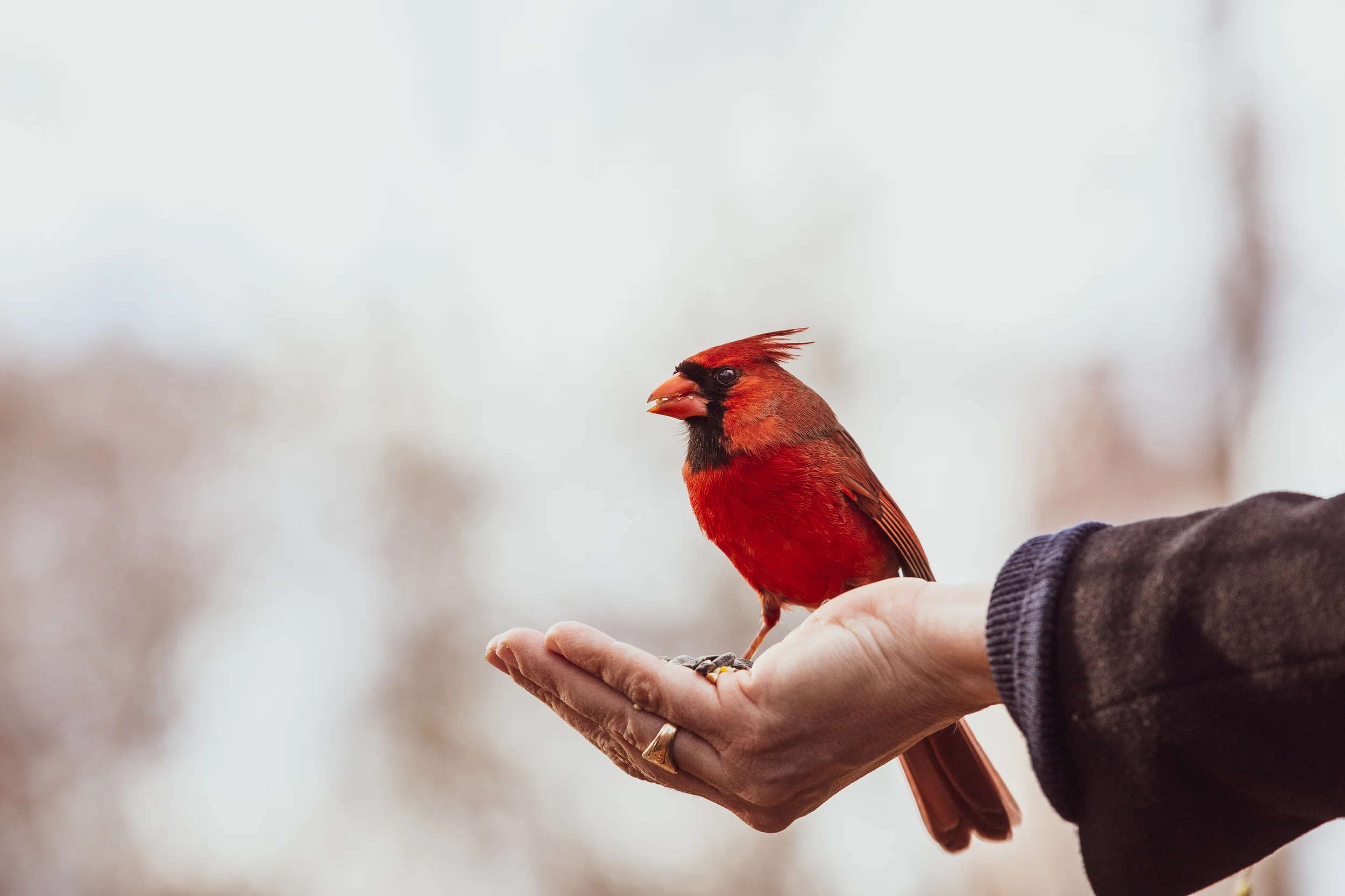 Card in Evie's Hand.jpg