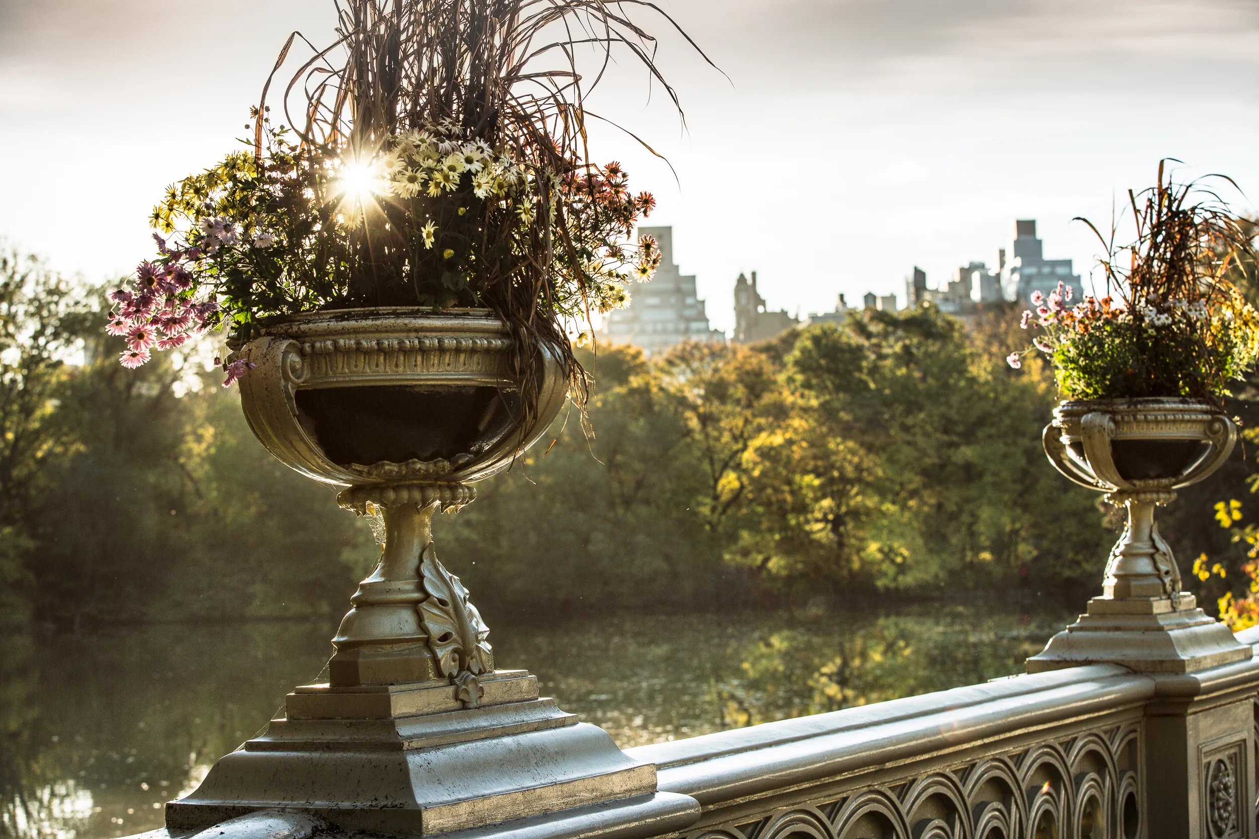 Central Park, Bow Bridge Planters , Autumn 2017--Edit.jpg