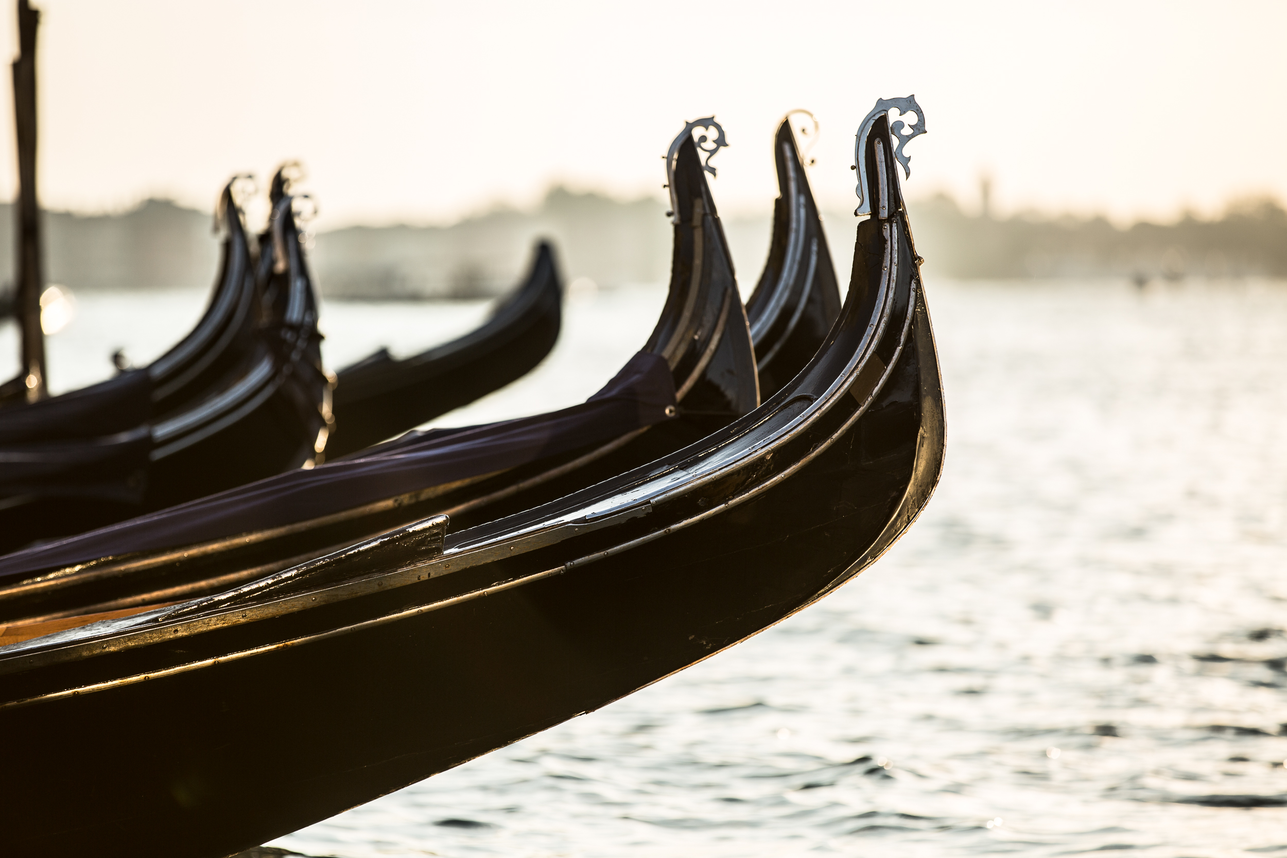 Gondolas at dawn-.jpg