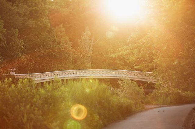 Sunbeam daydream .
.
.
.
.
.
.
.
.
.
.
.
.
.
.
.
.
#centralpark #pictureoftheday #picoftheday #nyc #sunshine #sunbeam #bridge #summersunselection #summer #transformationtuesday #naturephotography #landscapephotography #flowers #natgeo #newyork_origin