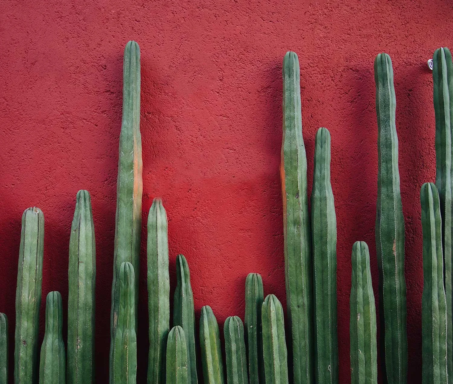 creatieve reizen - inspiratiereis Mexico-Stad