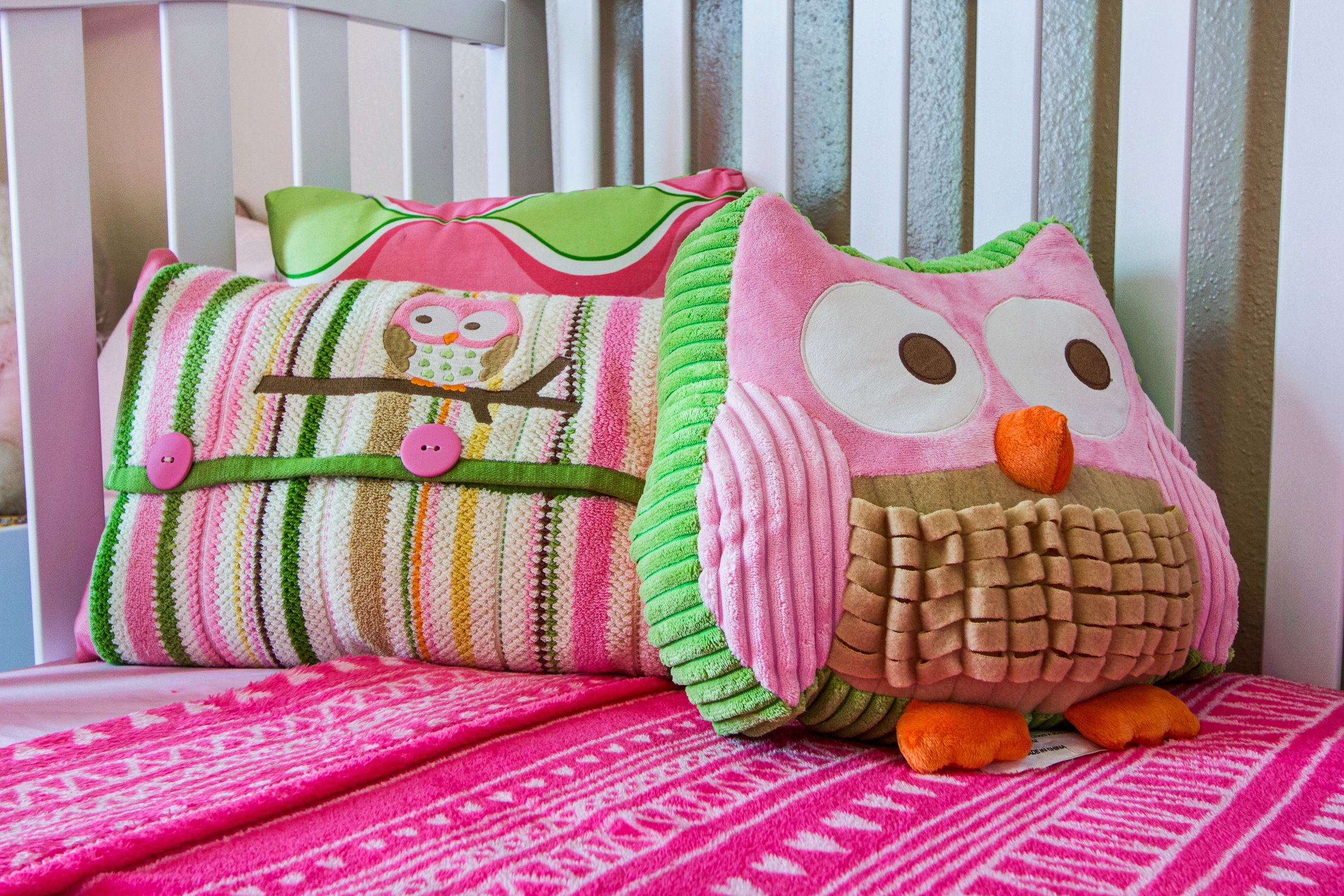 020-DWD50-July2014-Nursery-L.jpg