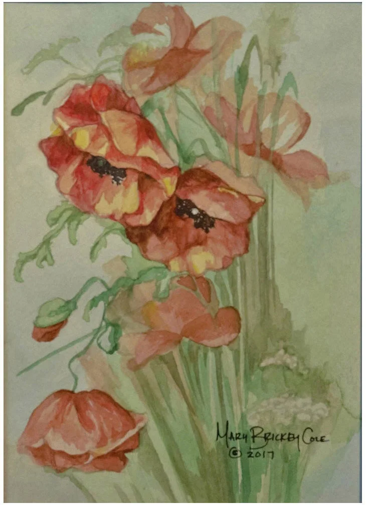 1Poppies.JPG
