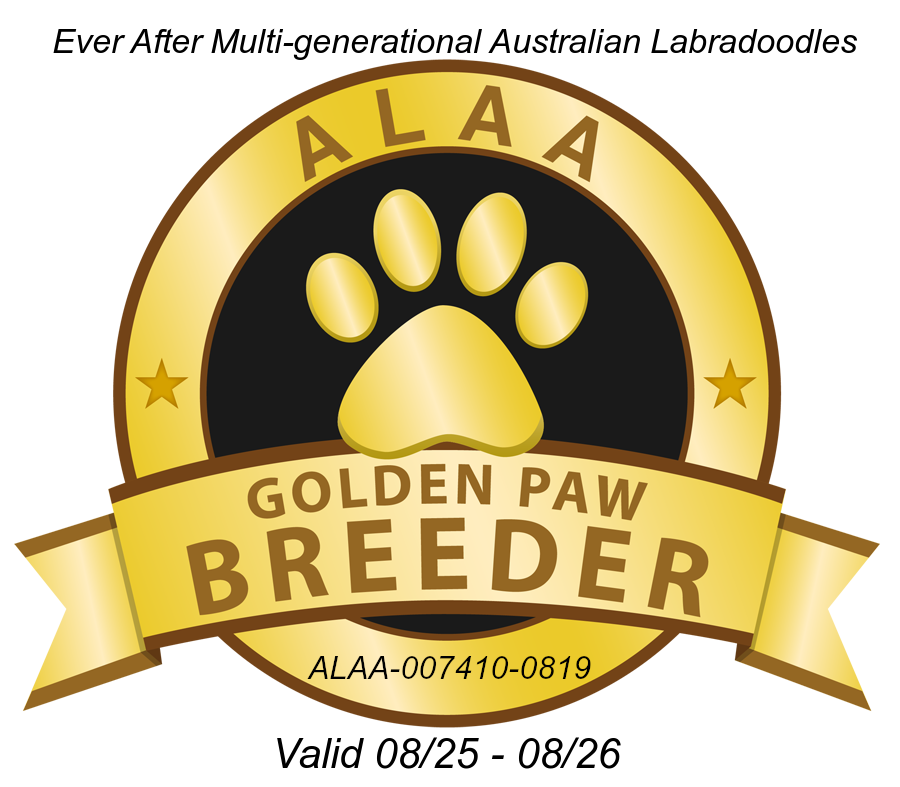  Ever After Labradoodles has been rated the best breeder of Australian Labradoodles in the state of Washington. 