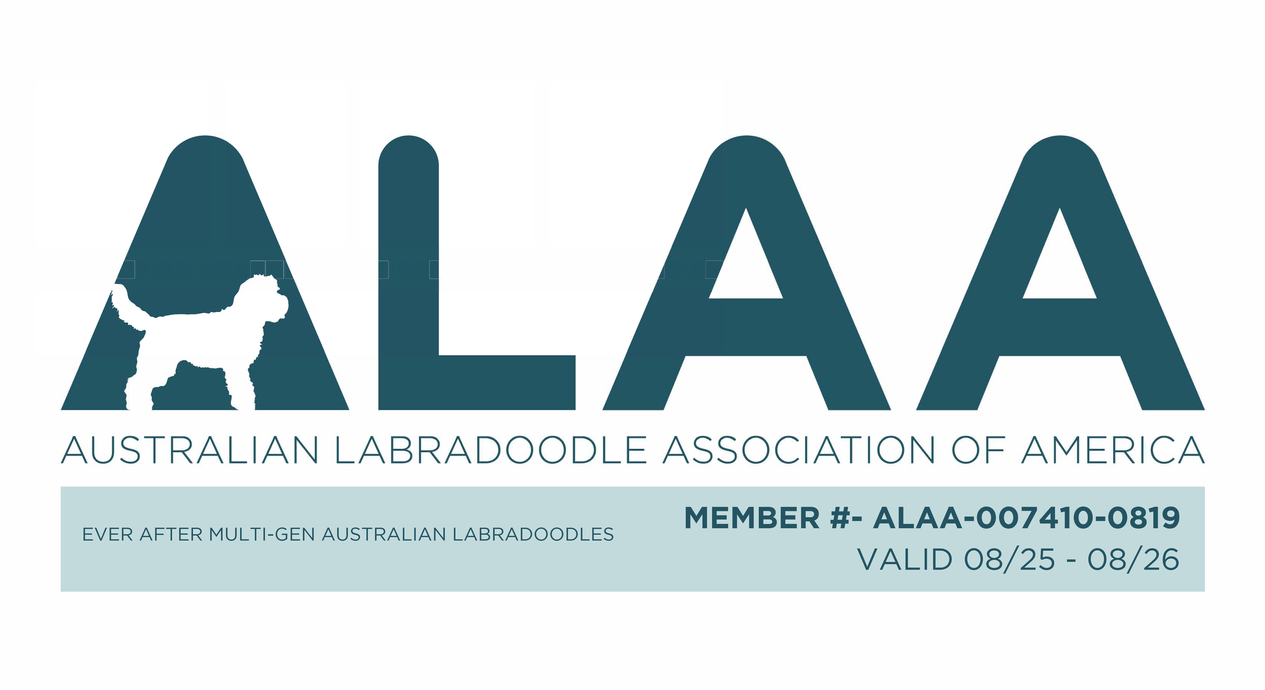  Ever After Labradoodles is a reputable breeder of ALAA which encourages best breeding practices. 