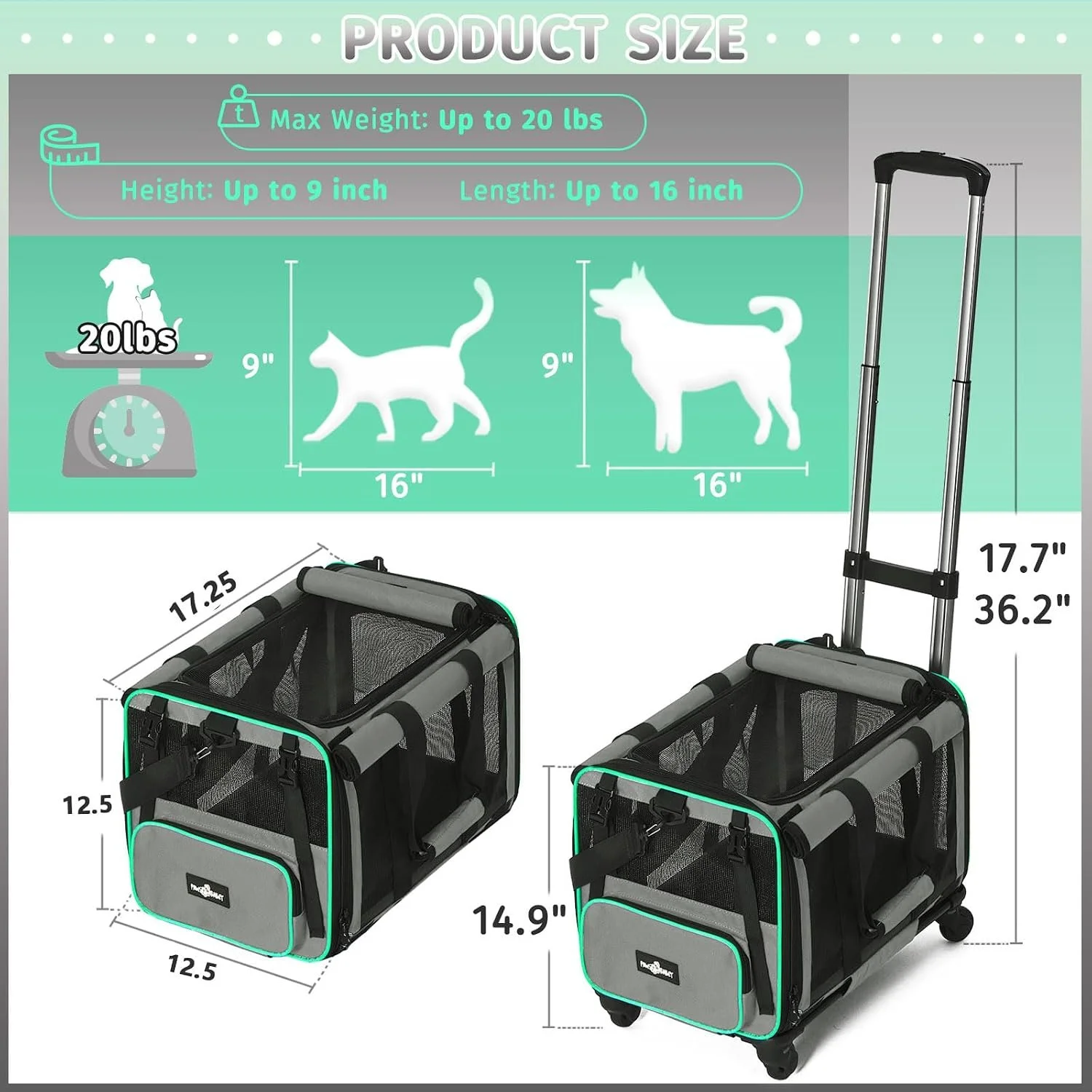 Pet carrier for Australian Labradoodle flights out of Seattle, WA.