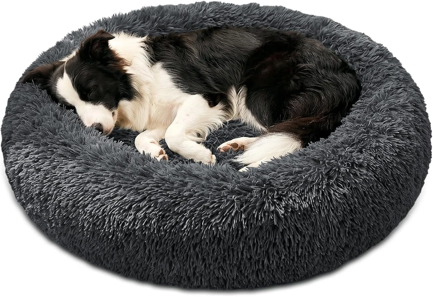 Australian Labradoodle puppies love soft donut beds like this one.