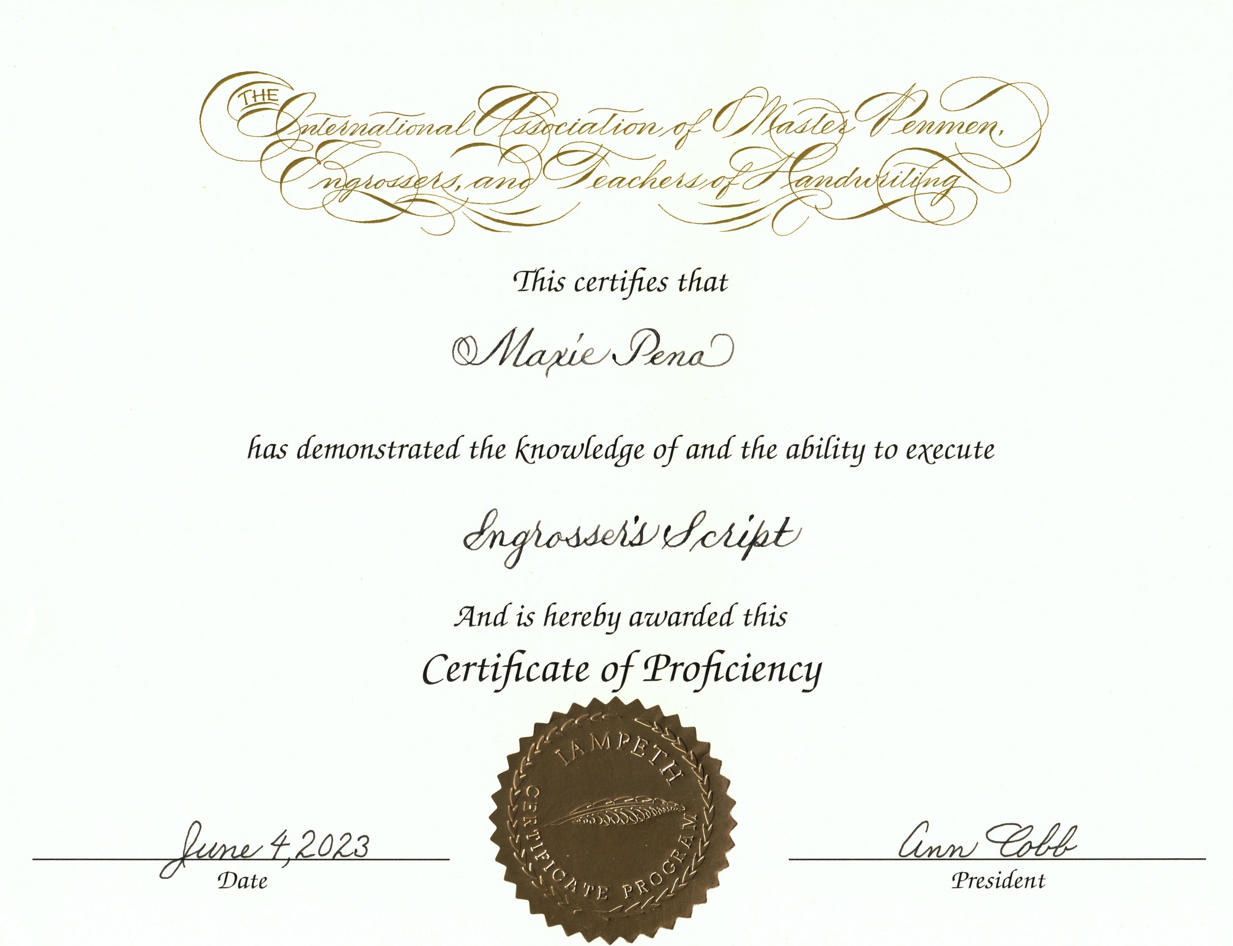 IAMPETH certif of proficiency2.jpg
