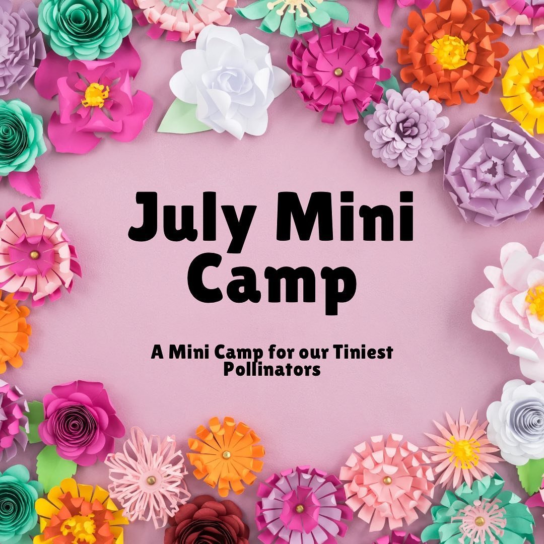 📣 📣 July Mini Camp: A Mini Camp for our Tiniest Pollinators! 📣 📣 

Mini Camp is a play and invitation based mini-camp for children ages 2.5-4 years old.  Each week, play, crafts, and stories have been chosen that will help shape our mini adventur