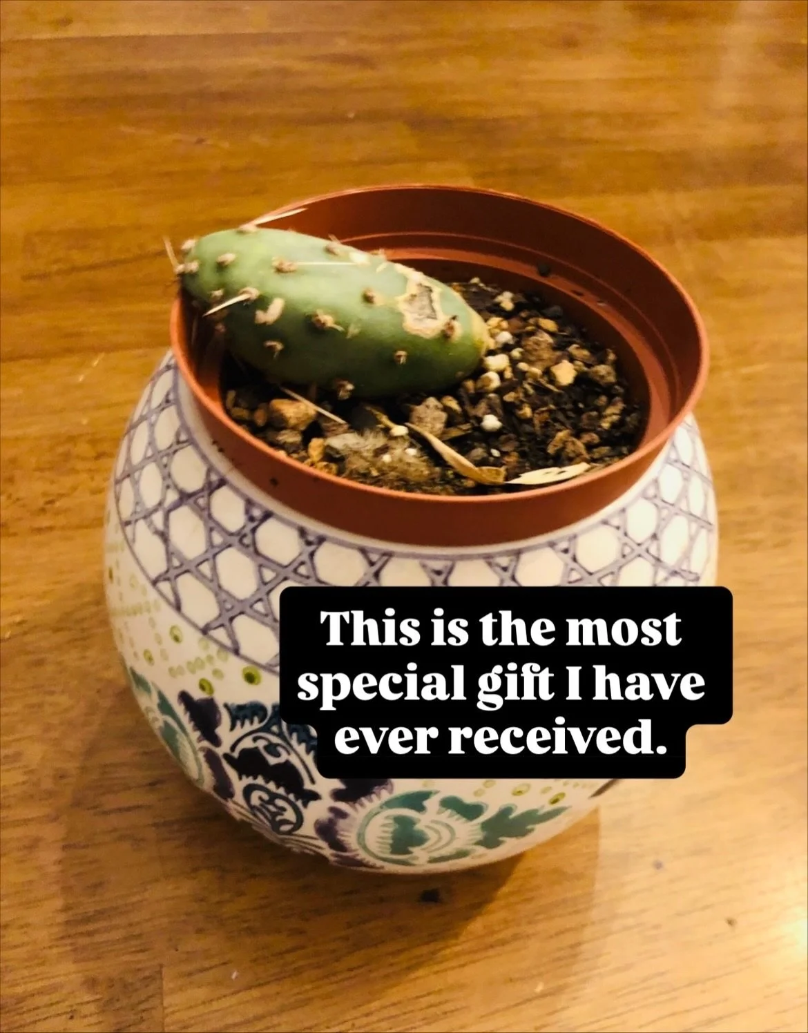 Big kids, am I right ❤️🌈