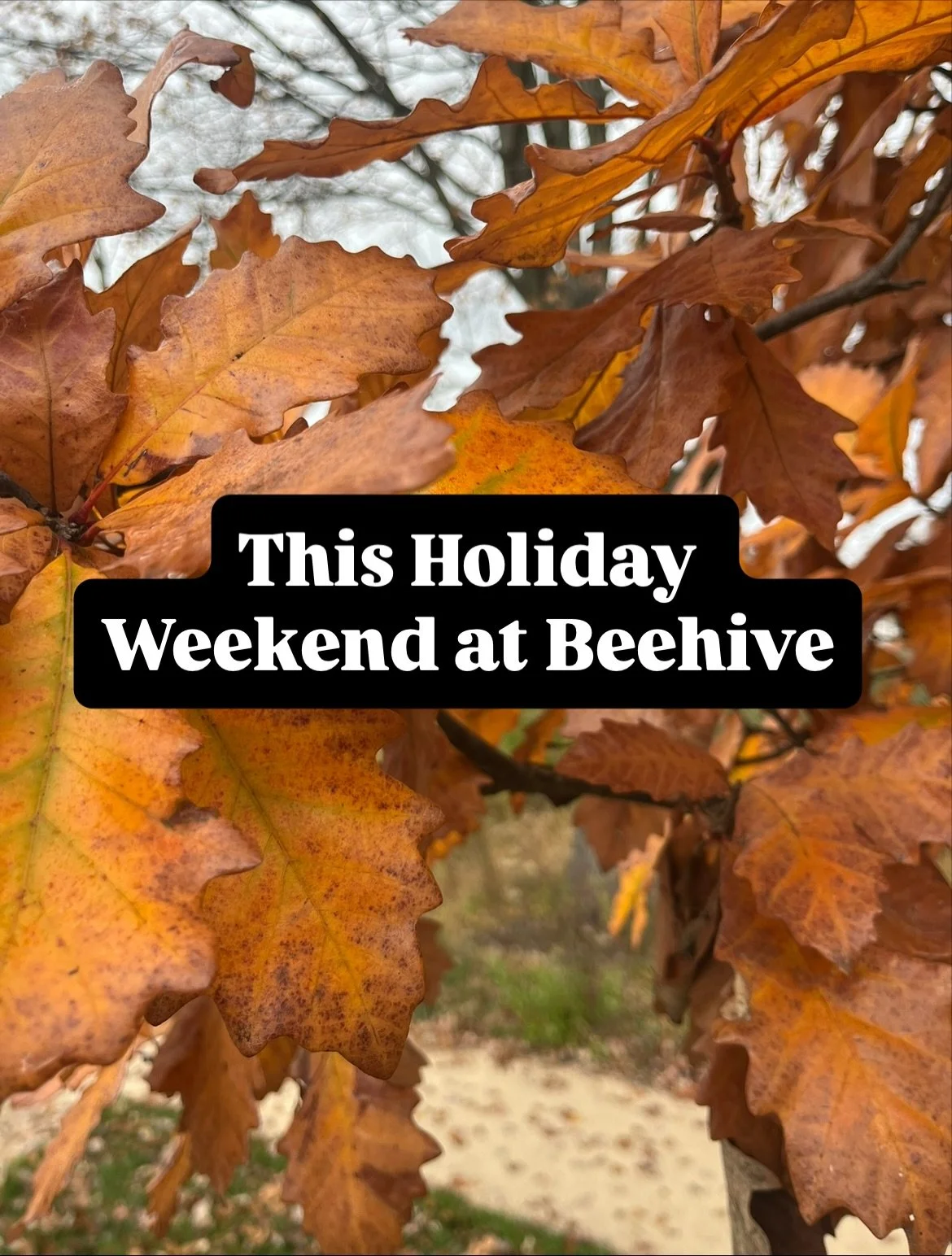 This holiday weekend at Beehive + our shop really small market + our own shop small sale that ends on Saturday! ➡️ Join us!