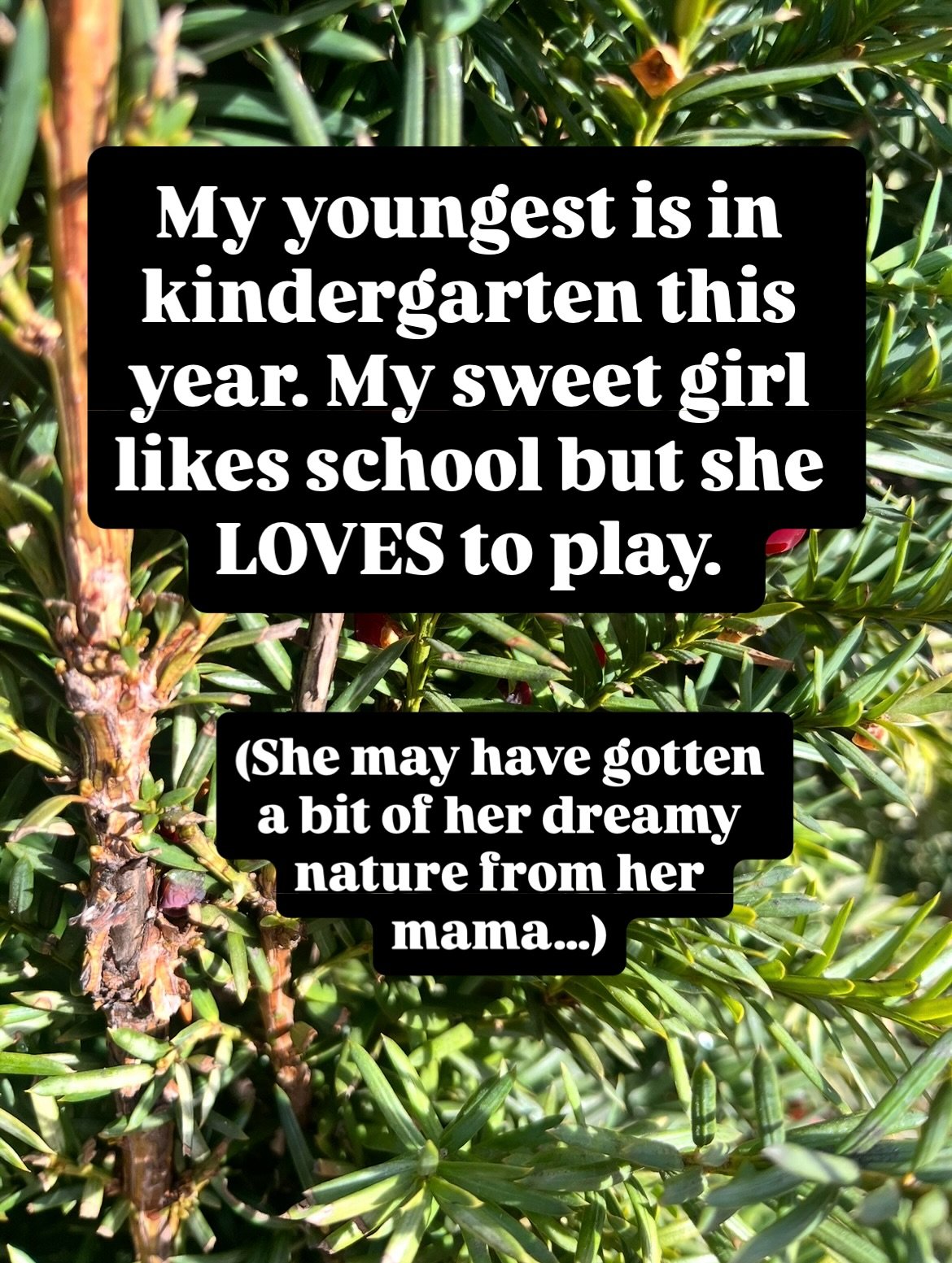 Just doing school 😂