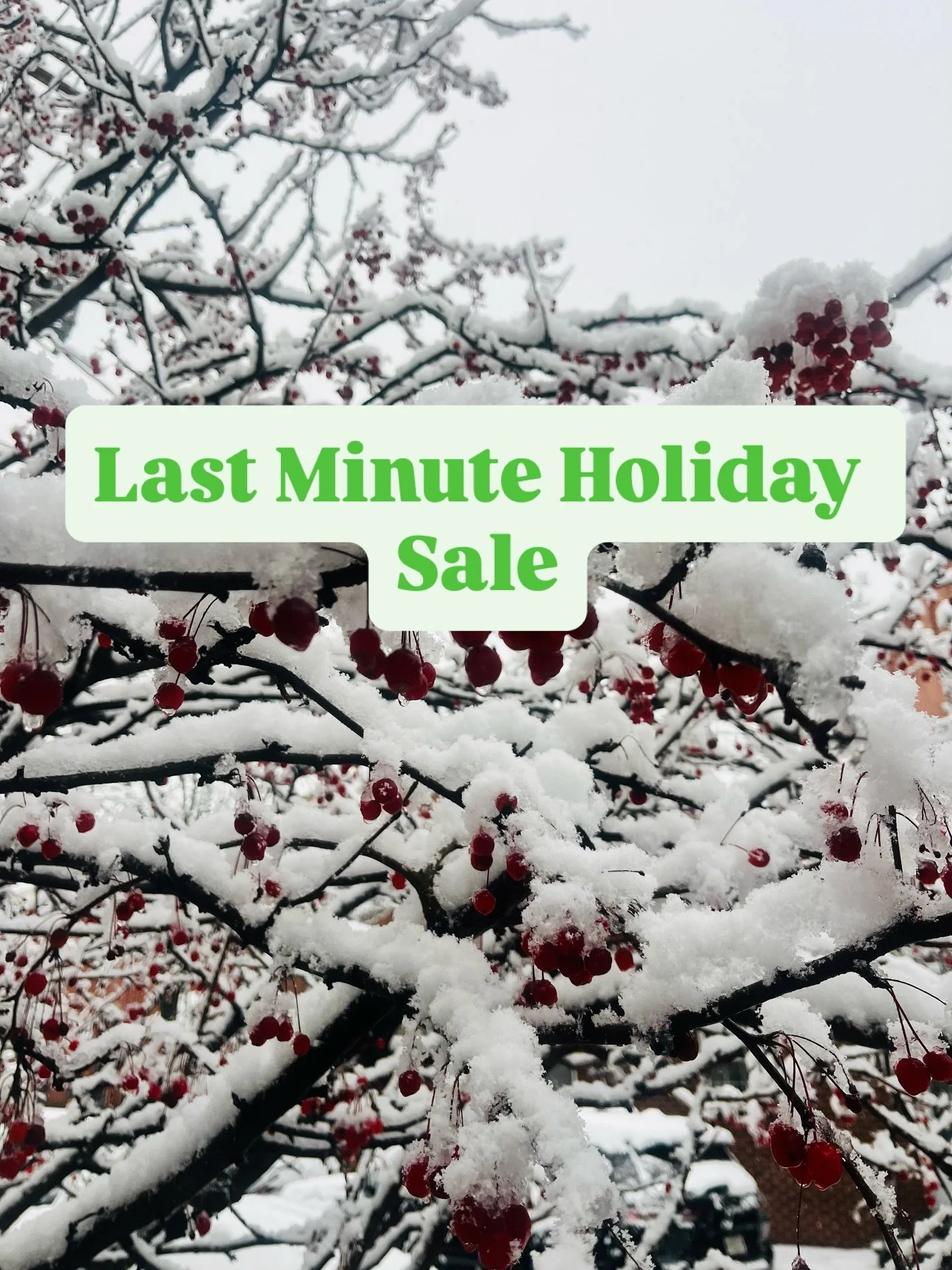 The last few weeks of the holiday gift giving season are upon us. Last minute shoppers unite! We will run this sale for the next 72 hours to help you prepare for the end of the giving season :)

The gift of experiences and time together are always to