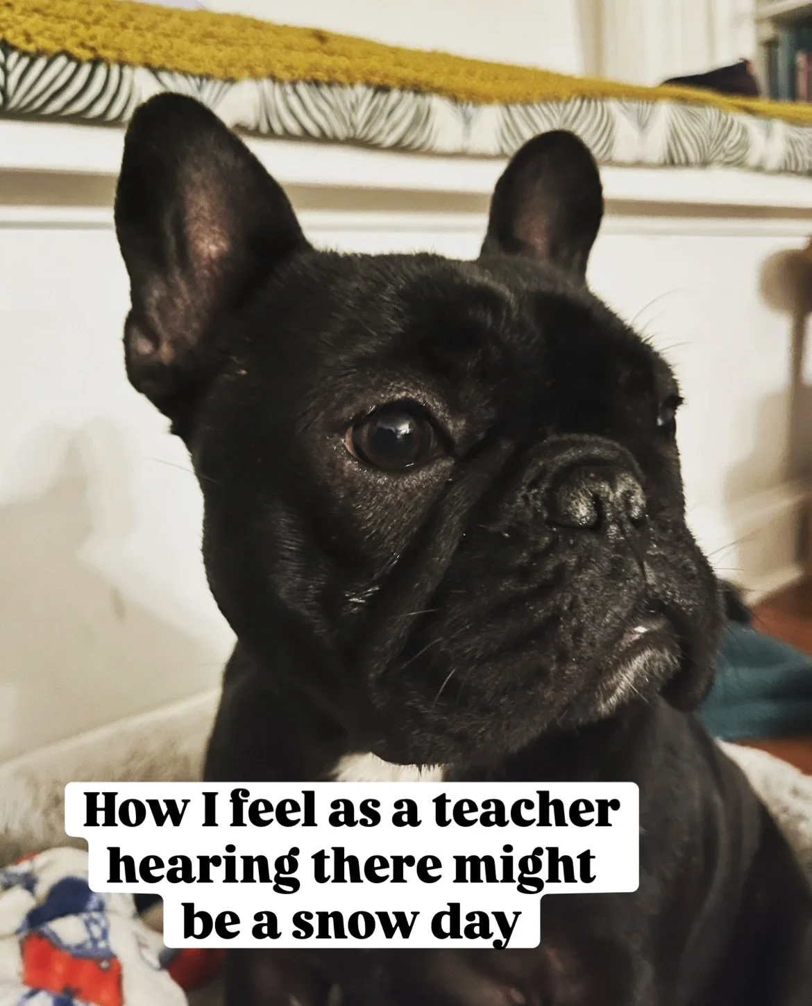 Snow day feels ❄️

&hellip;

Today only help us recover from having to close for 2 days during our busy season 😩 

and snag a yearly membership for $400 ($500 value) or a 6 month for $300 ($350 value)- book via link in bio

or book spring break full