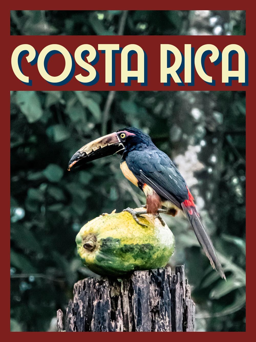 EV Costa Rica.jpg