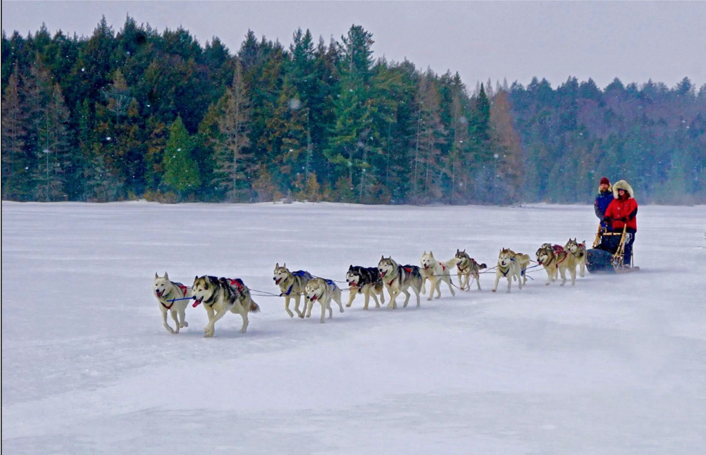 Vermont Retreat - Dog sledding 1.20