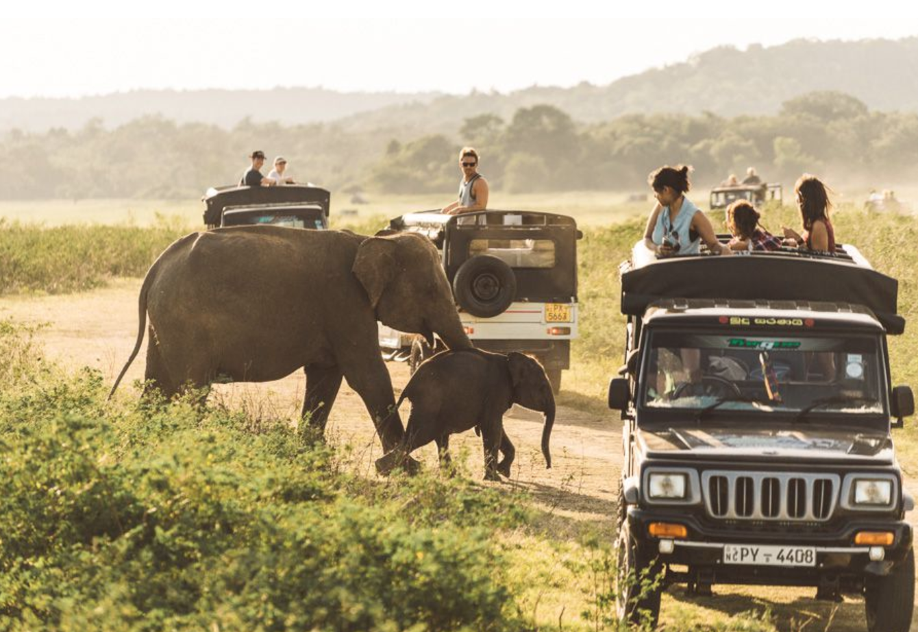  Elephant safari - Sri Lanka Trip-  2021 