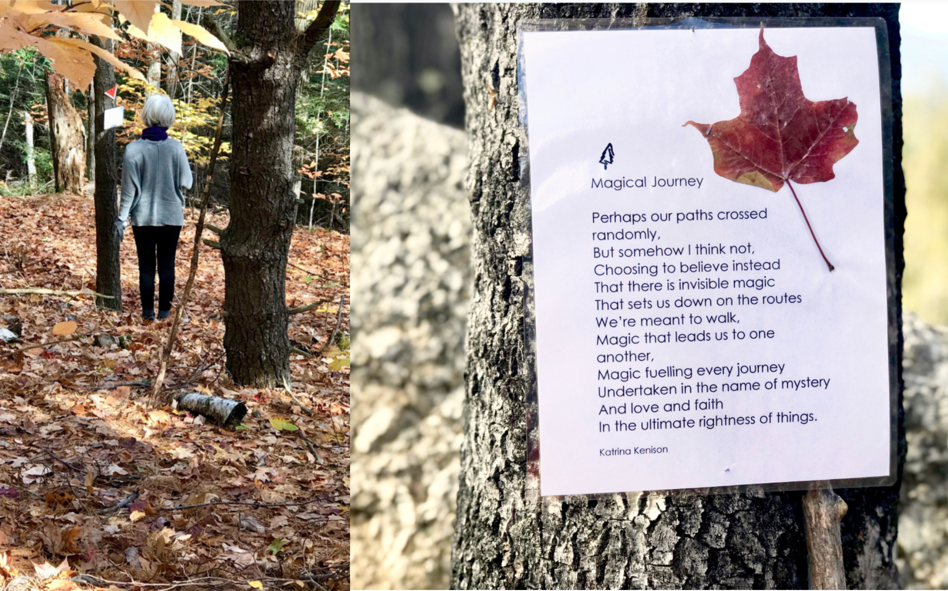  Poetry Trail - Silent Forest Hike - NH Retreat, Tahilla Farm 