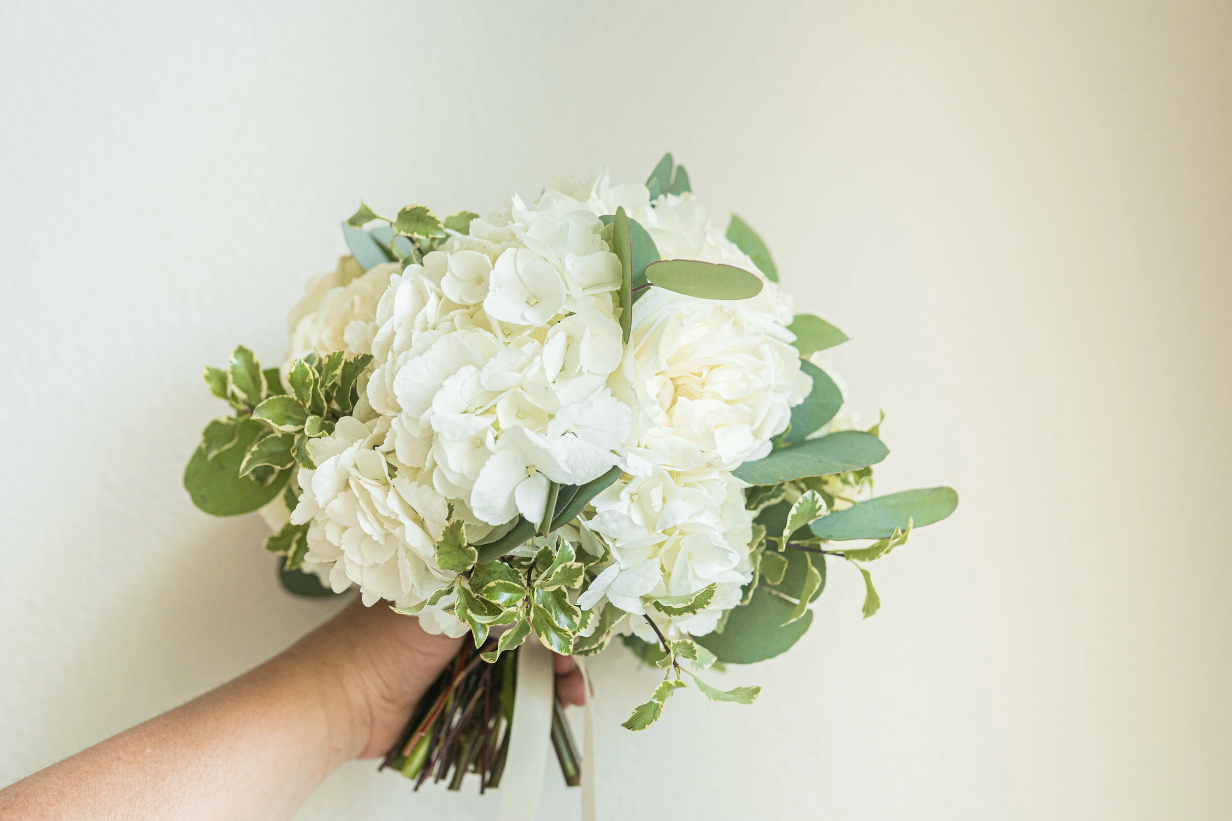 Image of White hydrangea flower in wedding bouquet