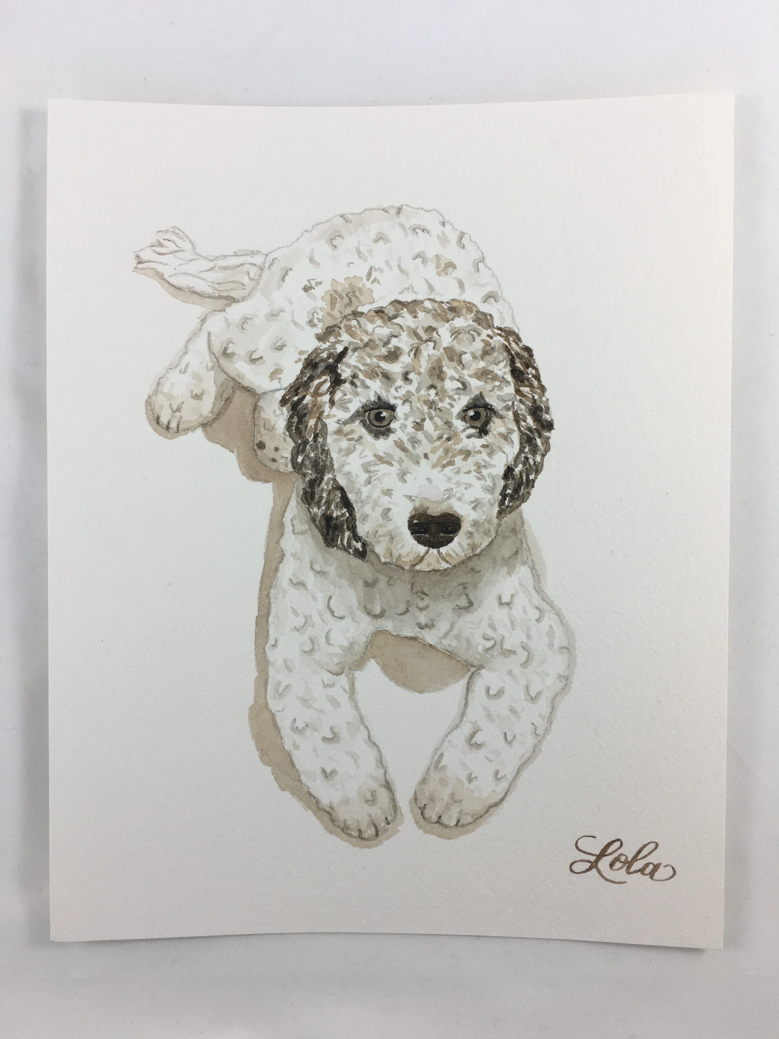 Pet Portrait Process