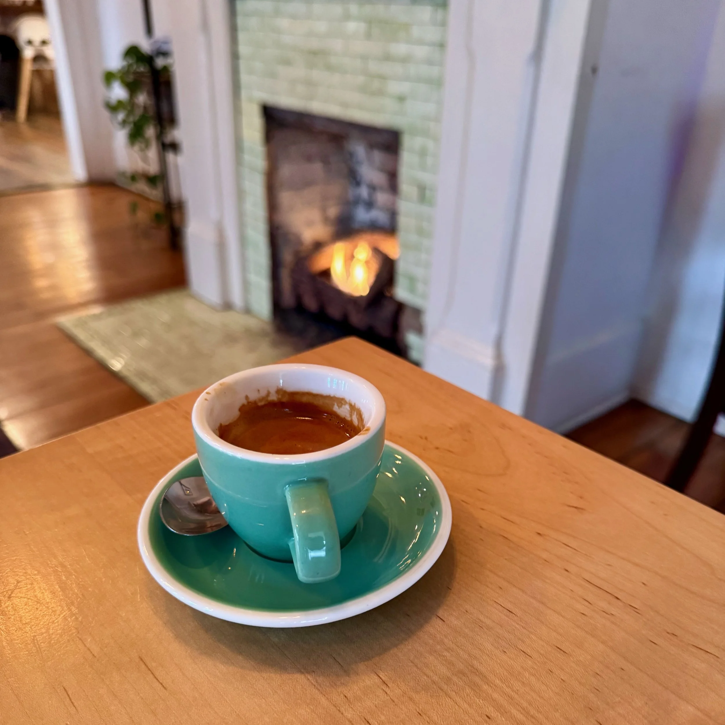 The Girl and the Raven, Abington, Virginia Jan 3, 2026