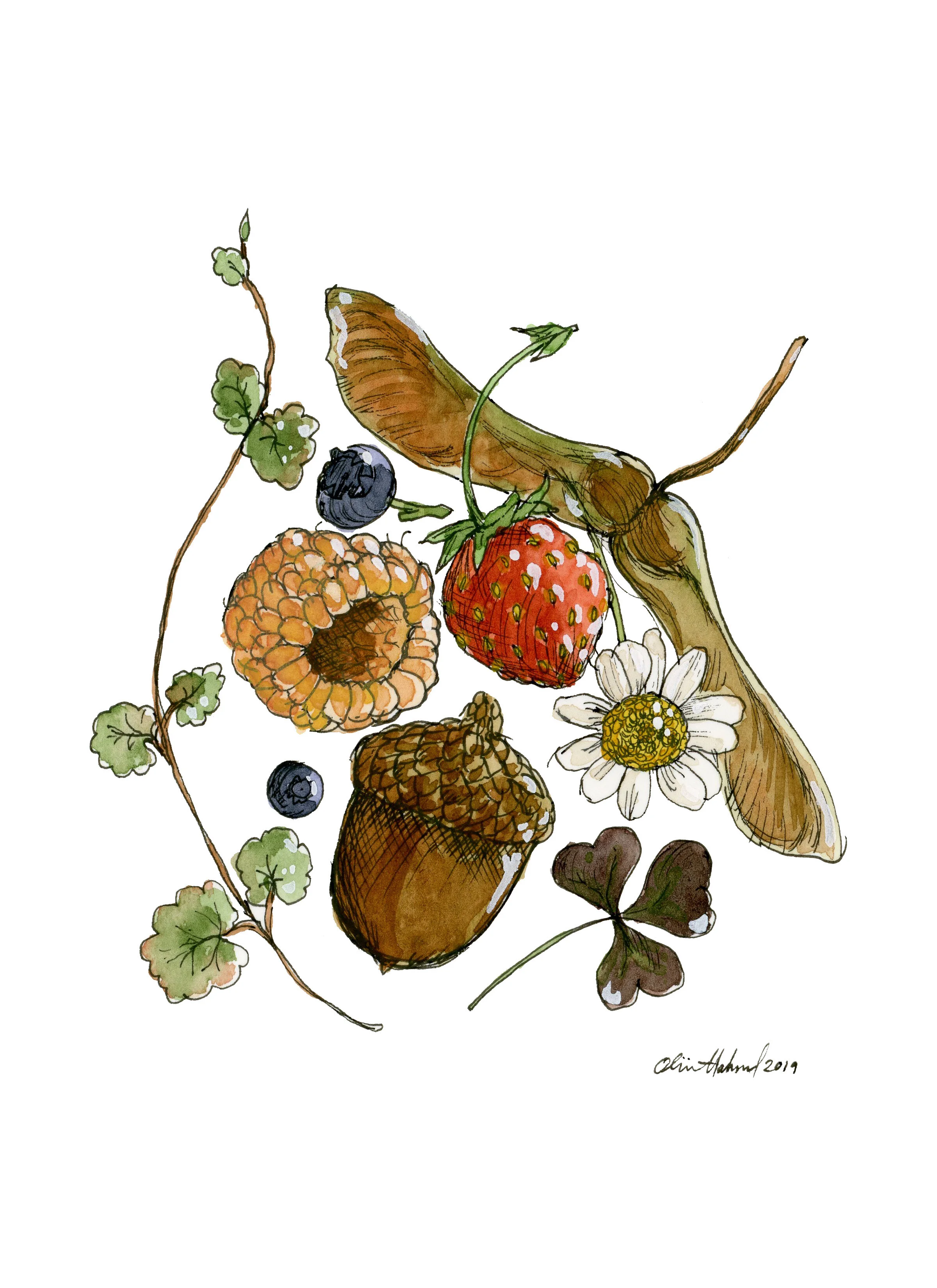 Farm Finds 2019 Watercolor and Micron pen