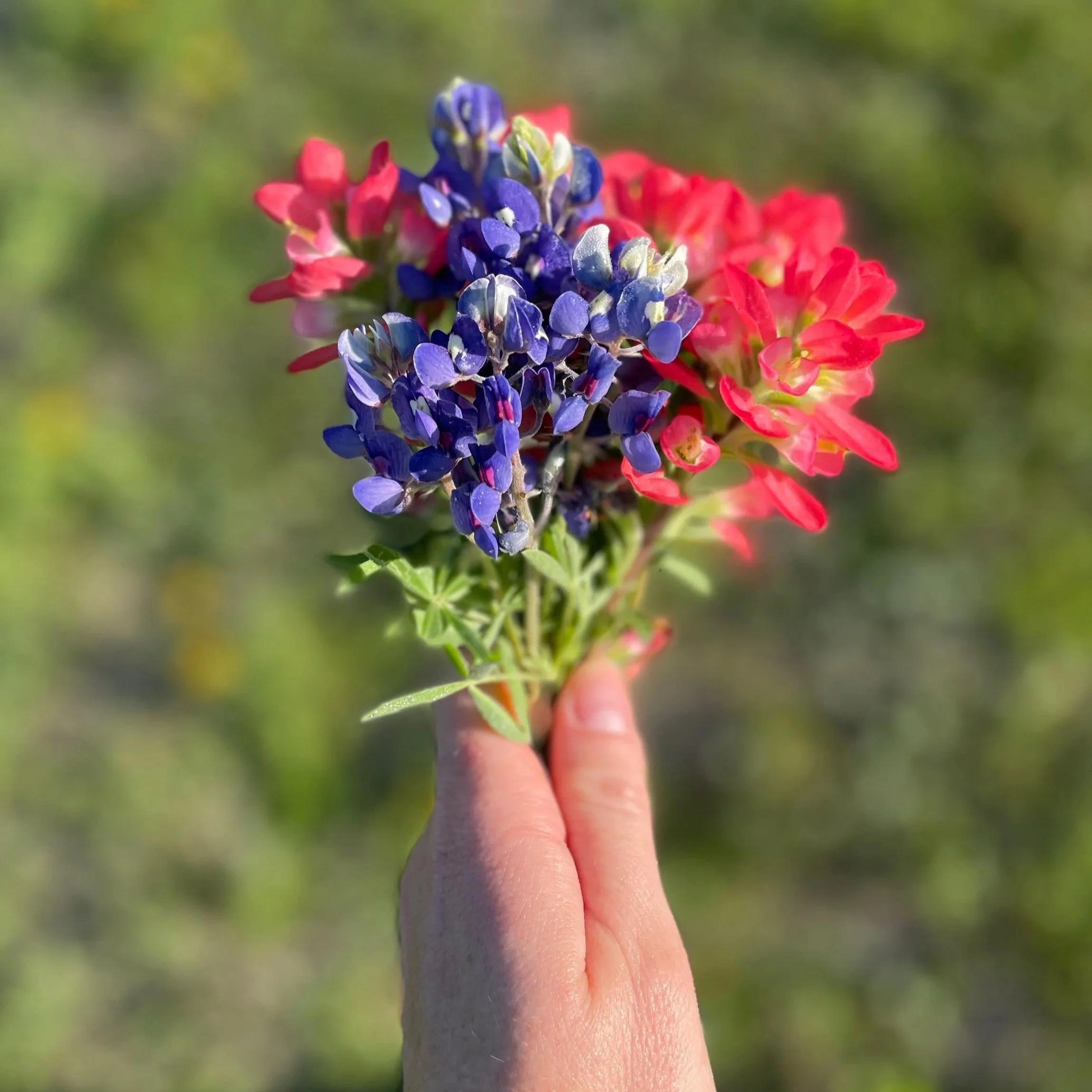 Eating Disorder Therapy Trauma Therapy Dallas Fort Worth Texas