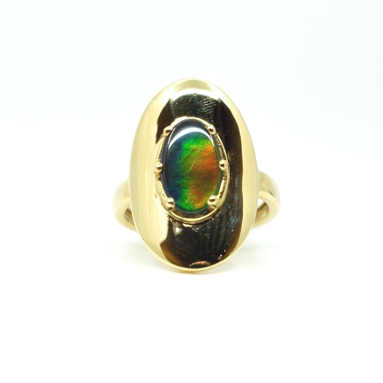 Explore Ammolite 