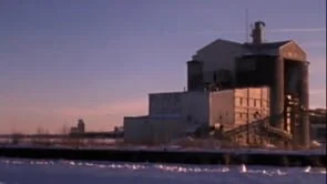 Drenched Evolution_quick_reedit_2020 (Copy)