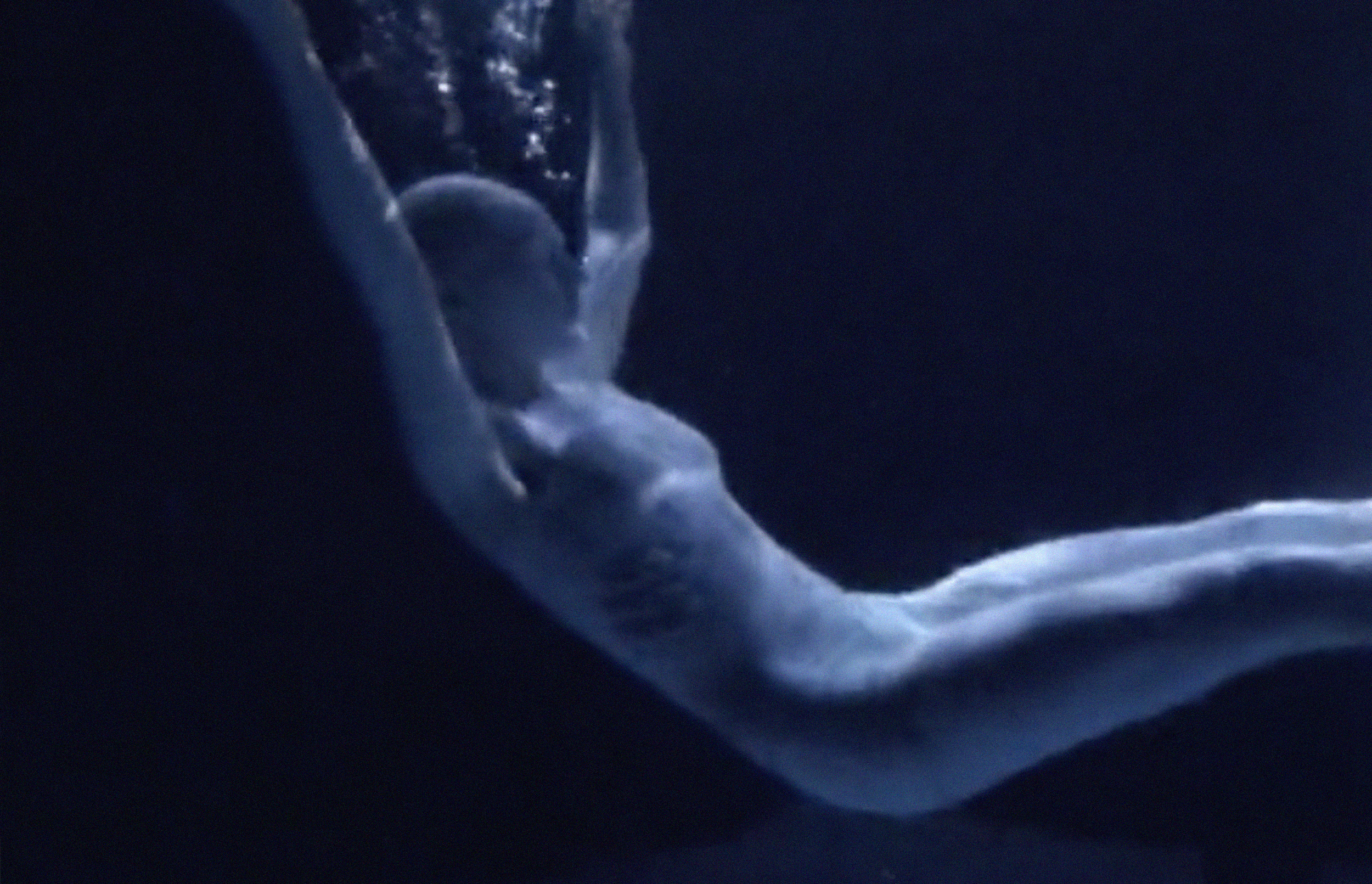 Screen Shot 2020-10-28 at 3.31.48 PM.png