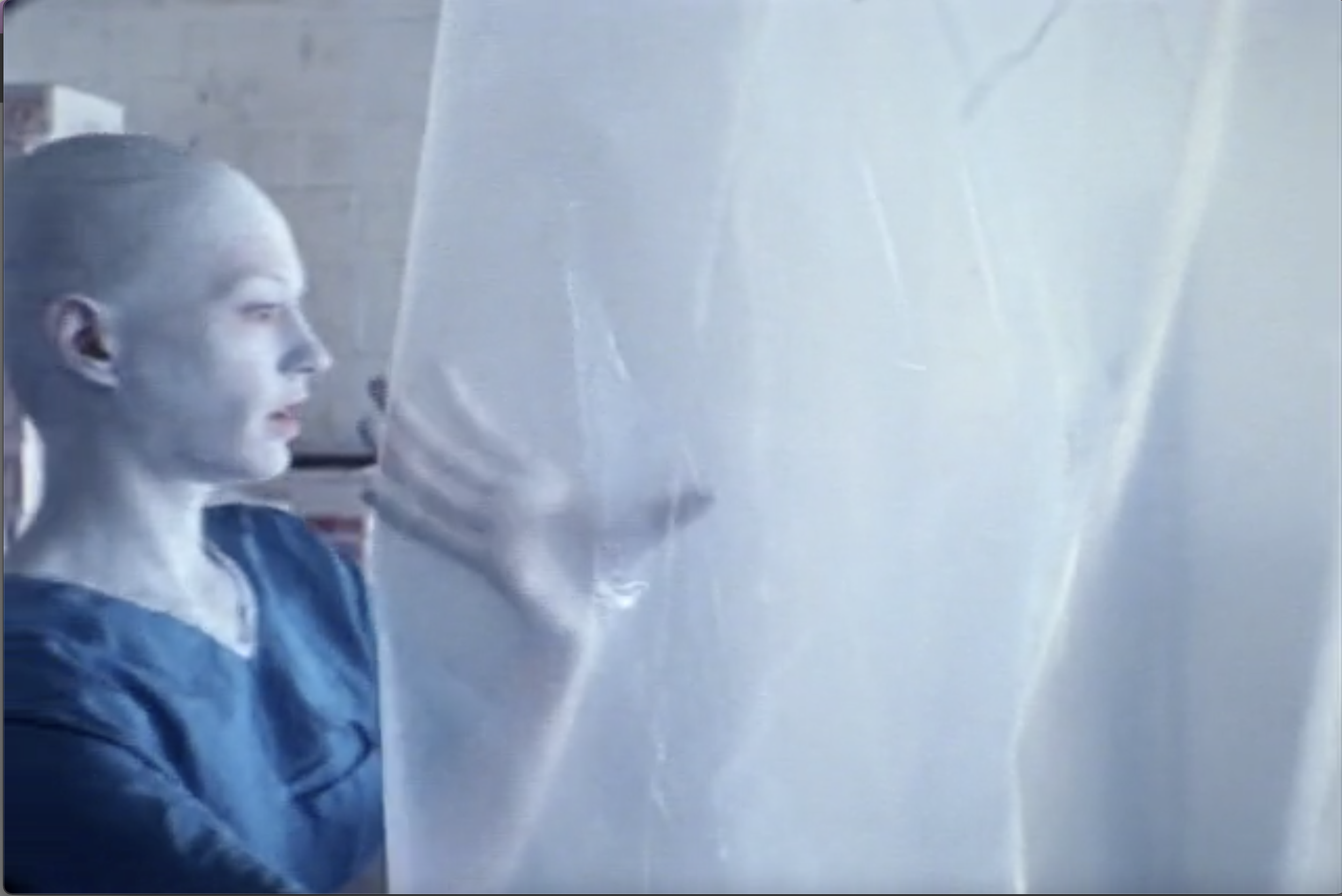 Screen Shot 2024-04-28 at 12.08.23 PM.png