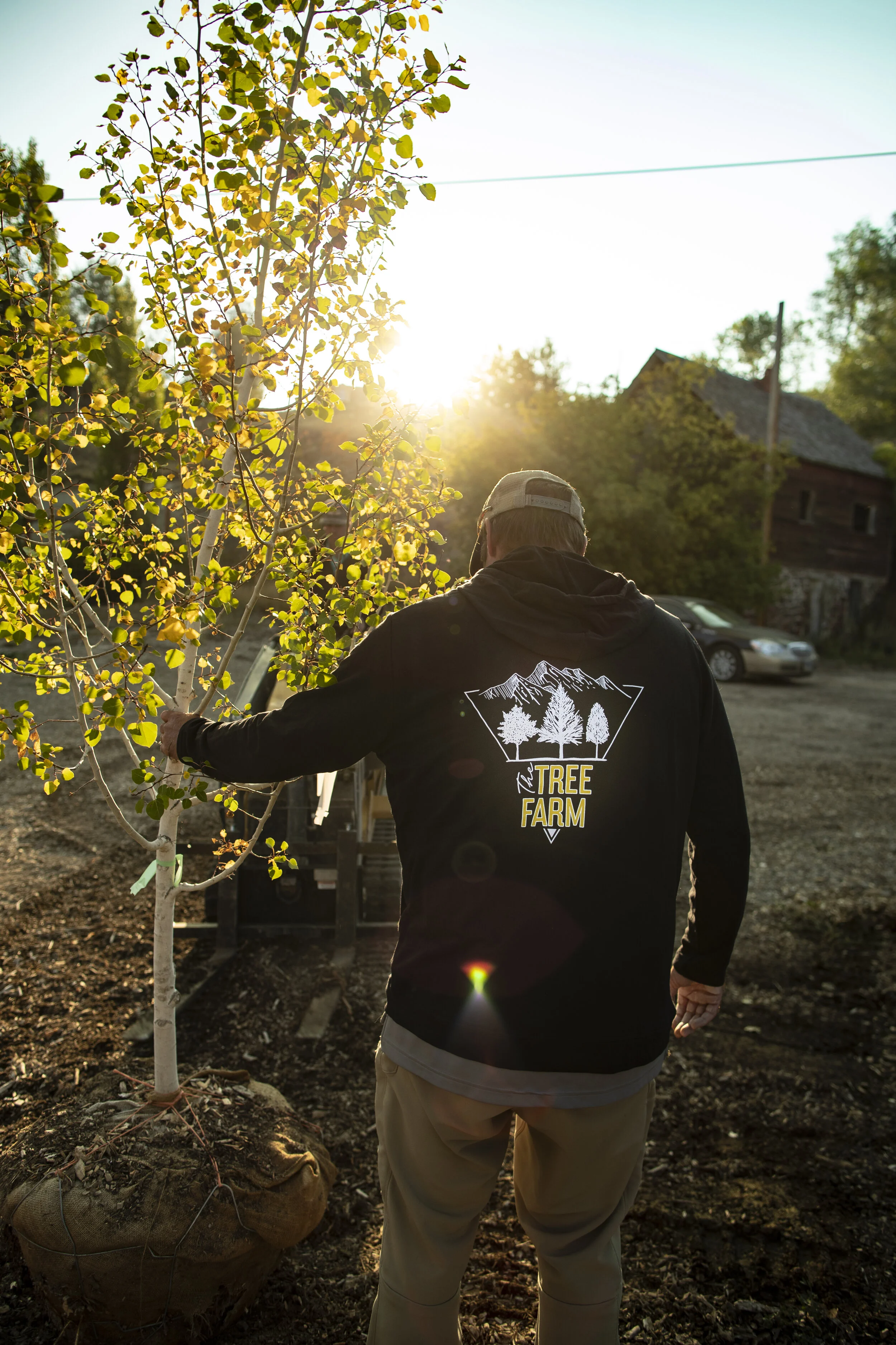 Matt Loading Tree.jpg