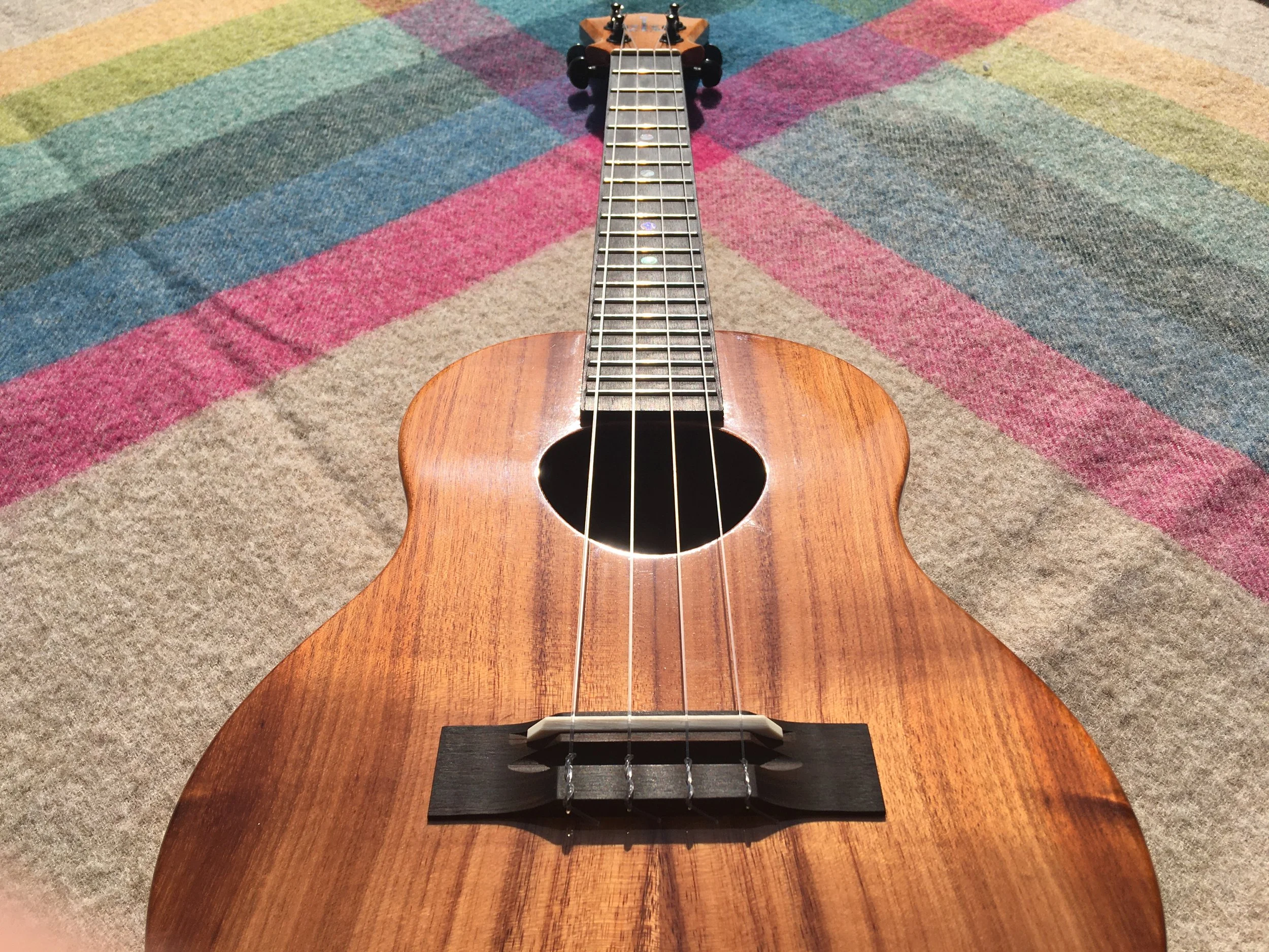 Learn the Ukulele and support Rapport-Based Music sessions