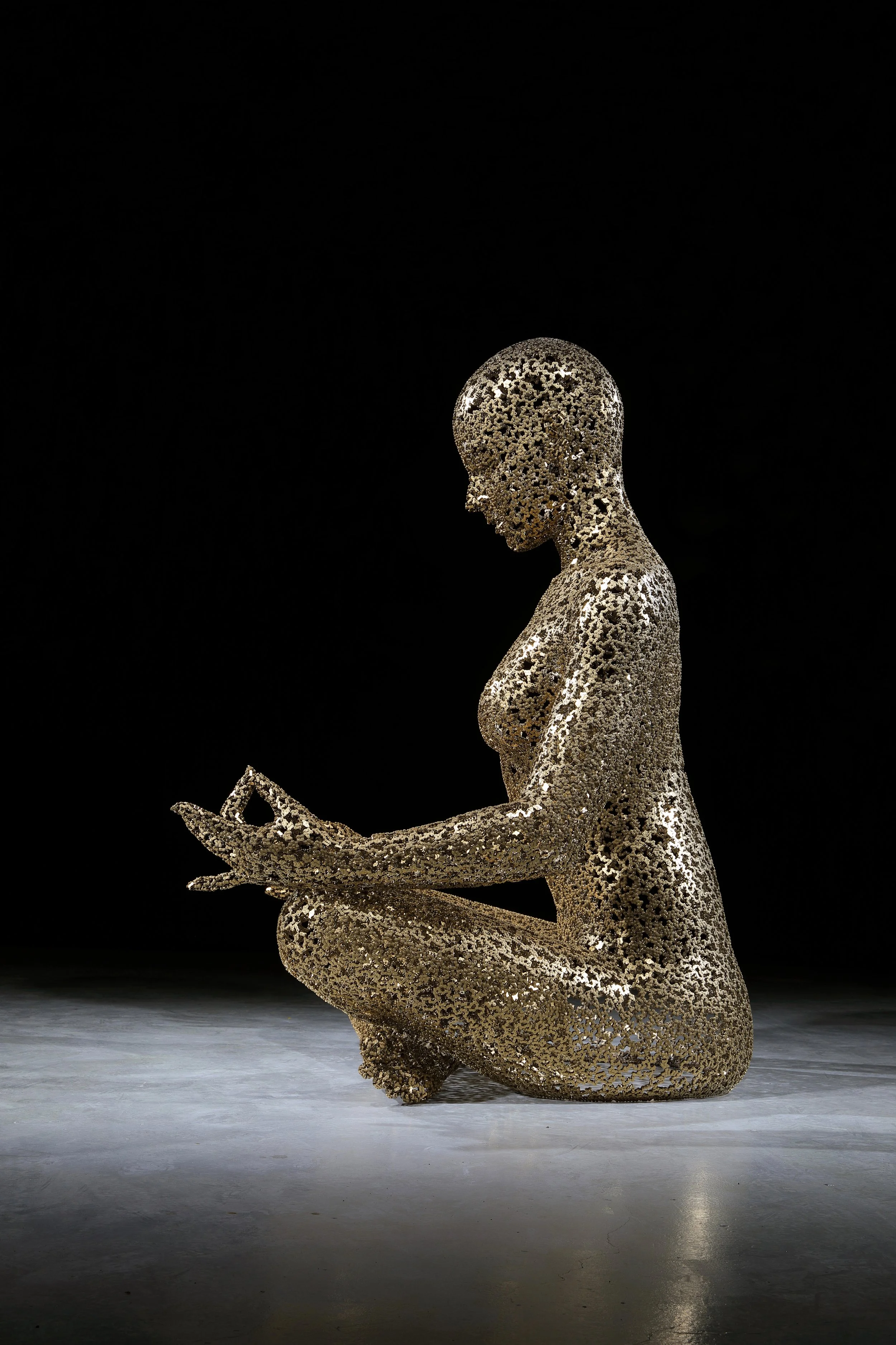 Meditation 615, Stainless Steel Chain, Gold plating, 182 x 160 x 220(h)cm, 205kg, 2026 (9).JPG