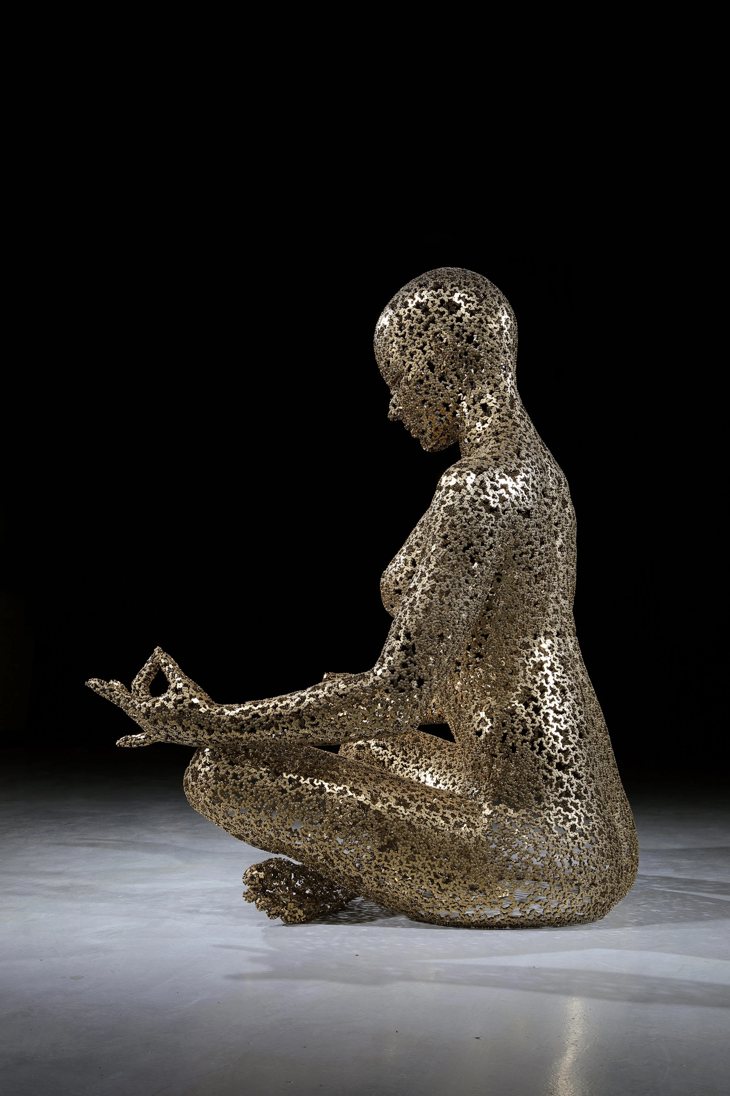 Meditation 615, Stainless Steel Chain, Gold plating, 182 x 160 x 220(h)cm, 205kg, 2026 (13).JPG