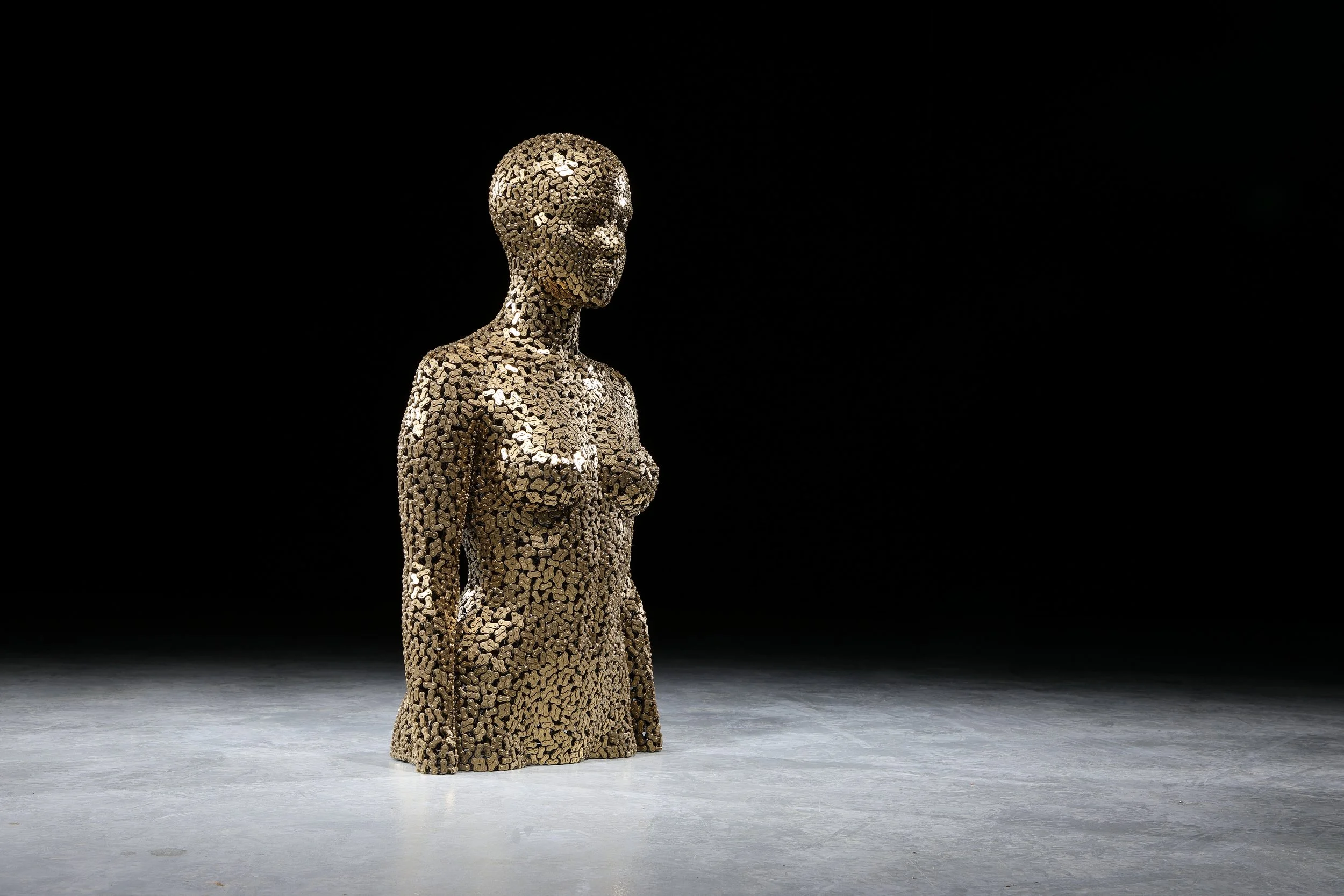 Meditation 82_Gold Plating-4.JPG