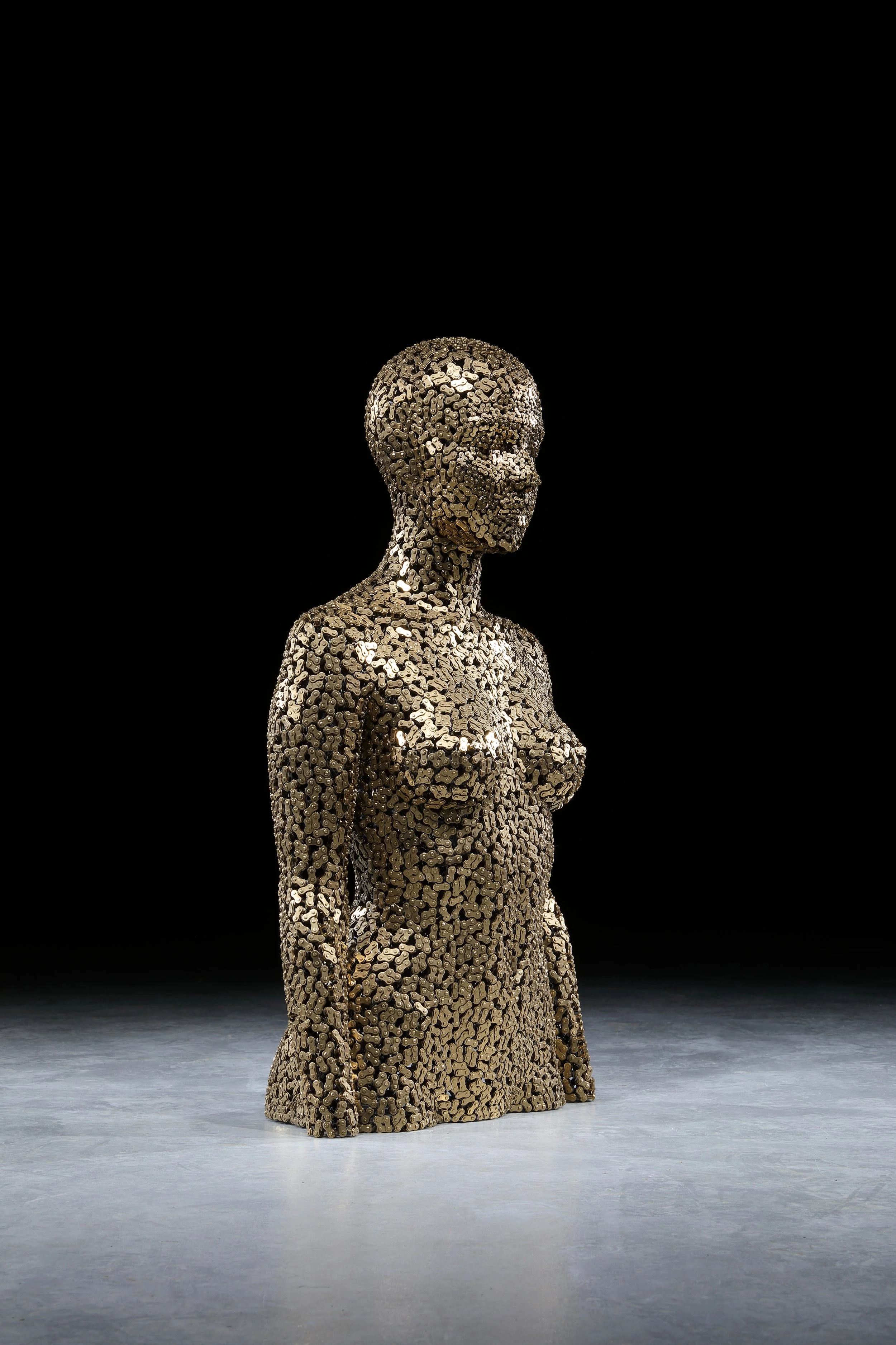 Meditation 82_Gold Plating-7.JPG