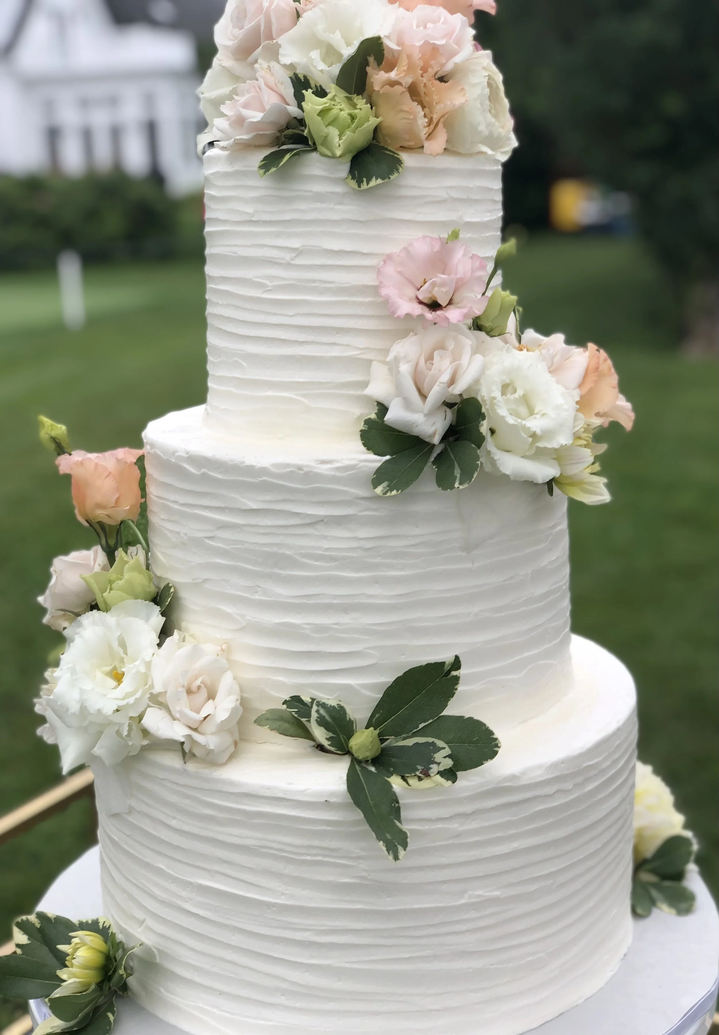  Fortunes Rocks beauty 