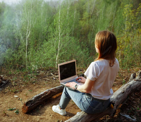 Live Streaming—Making Money With Your Forest