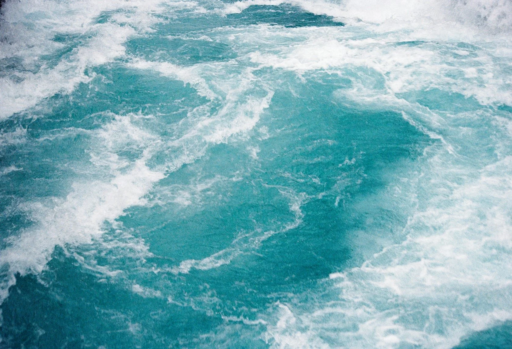 WhatsApp Image 2026-04-10 at 19.47.59.jpeg