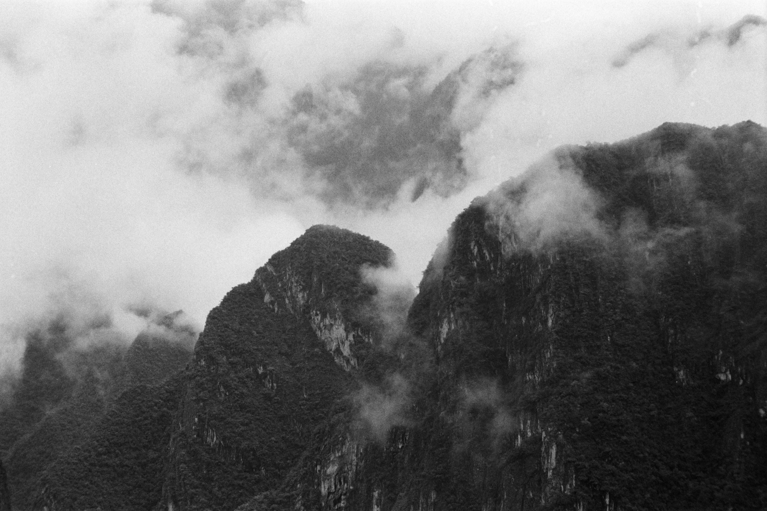 Carole Viaene-53.jpg