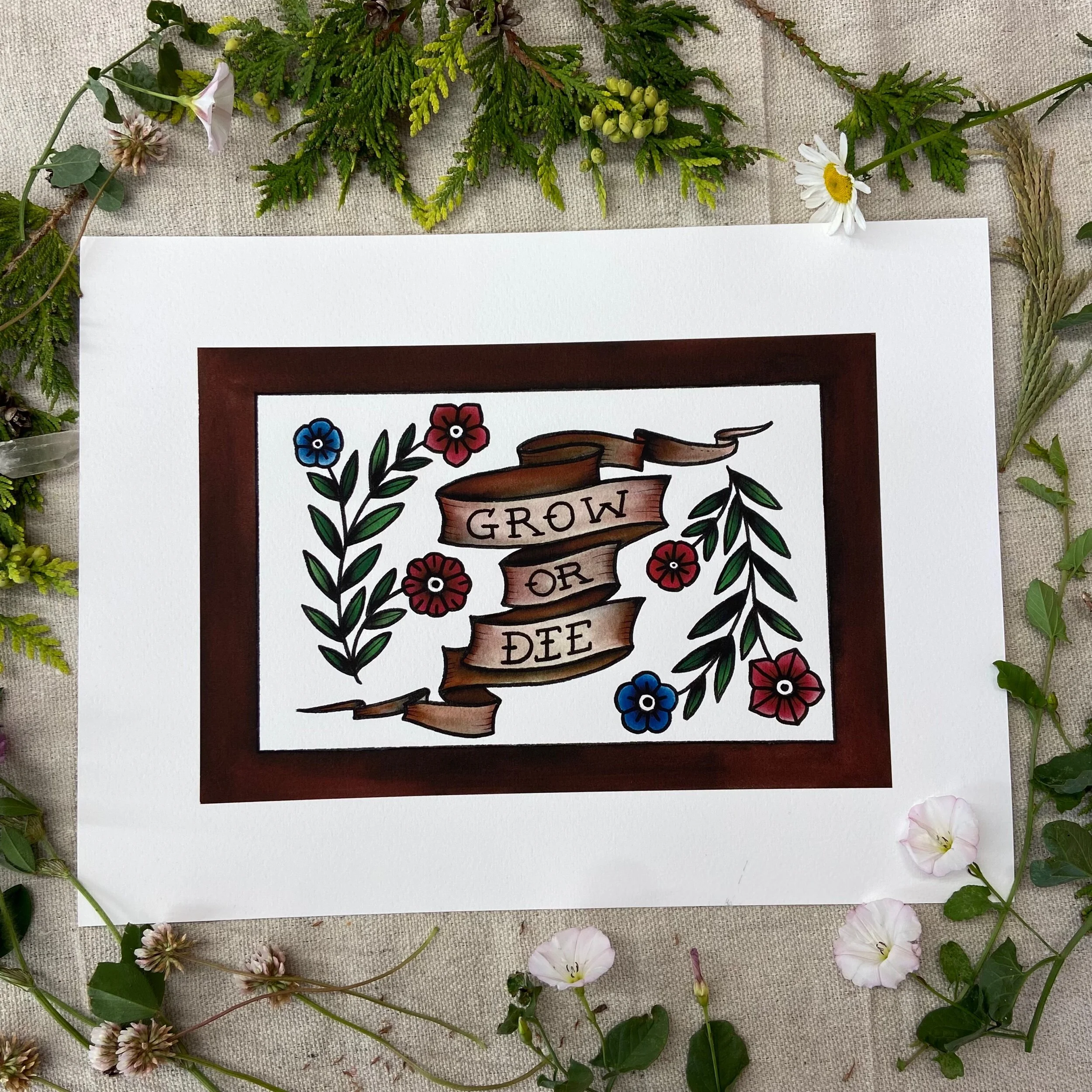 D8D19B02-ACB1-42E6-9B6B-A93BC6E5F667