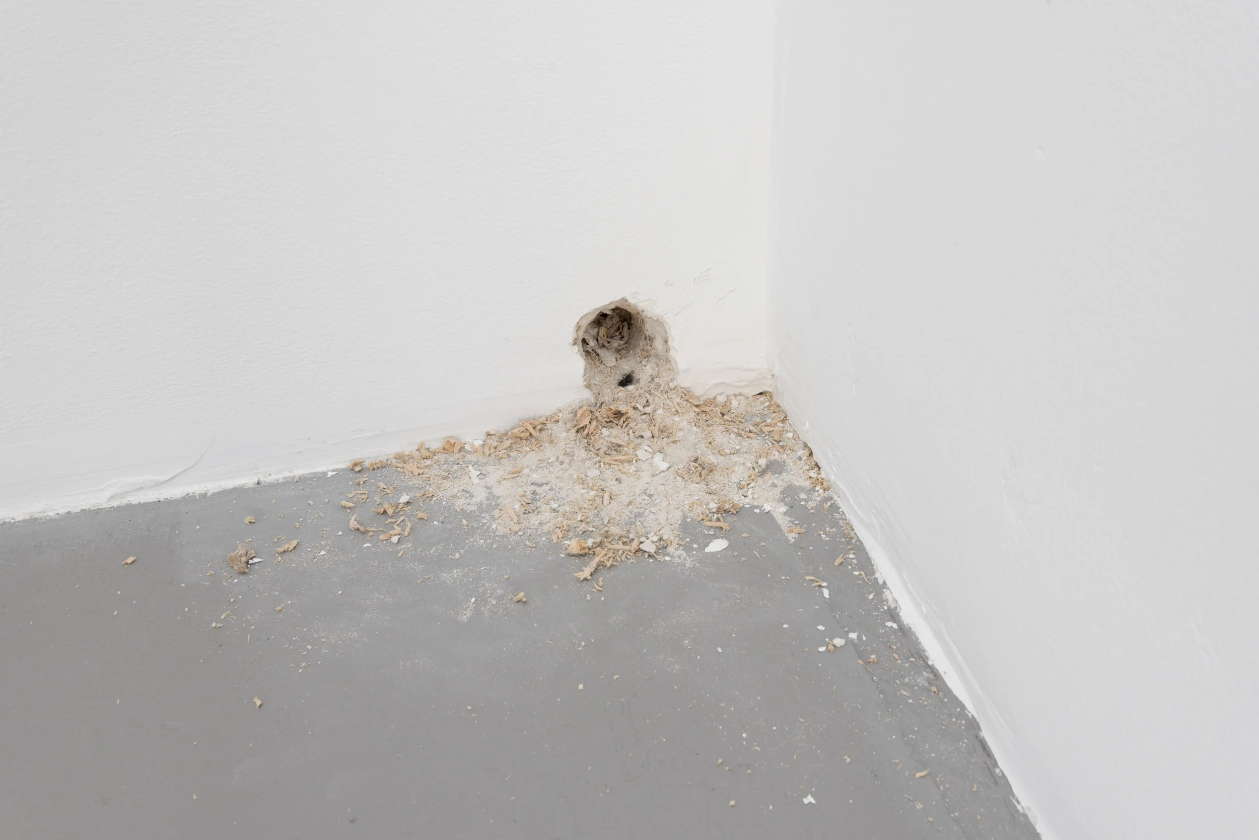Exit (Mouse Hole), 2018 installation dimensions variable