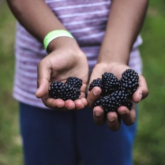 2021 UPICK PICS2.jpeg