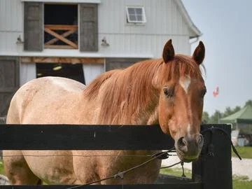 2021 UPICK PICS6.jpeg