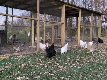 2021 UPICK PICS7.jpeg