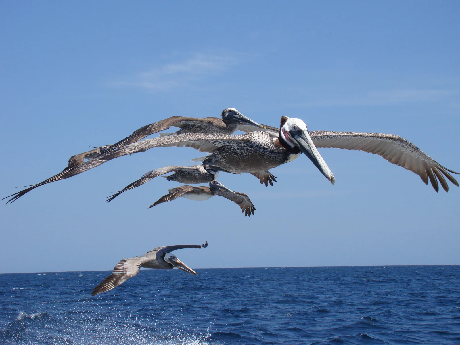 WhatsApp Image 2019-09-27 at 4.37.42 PM.jpeg