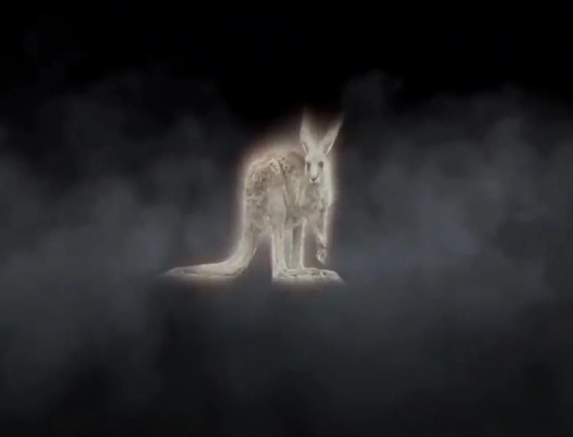 Kangaroo FIRE.JPG