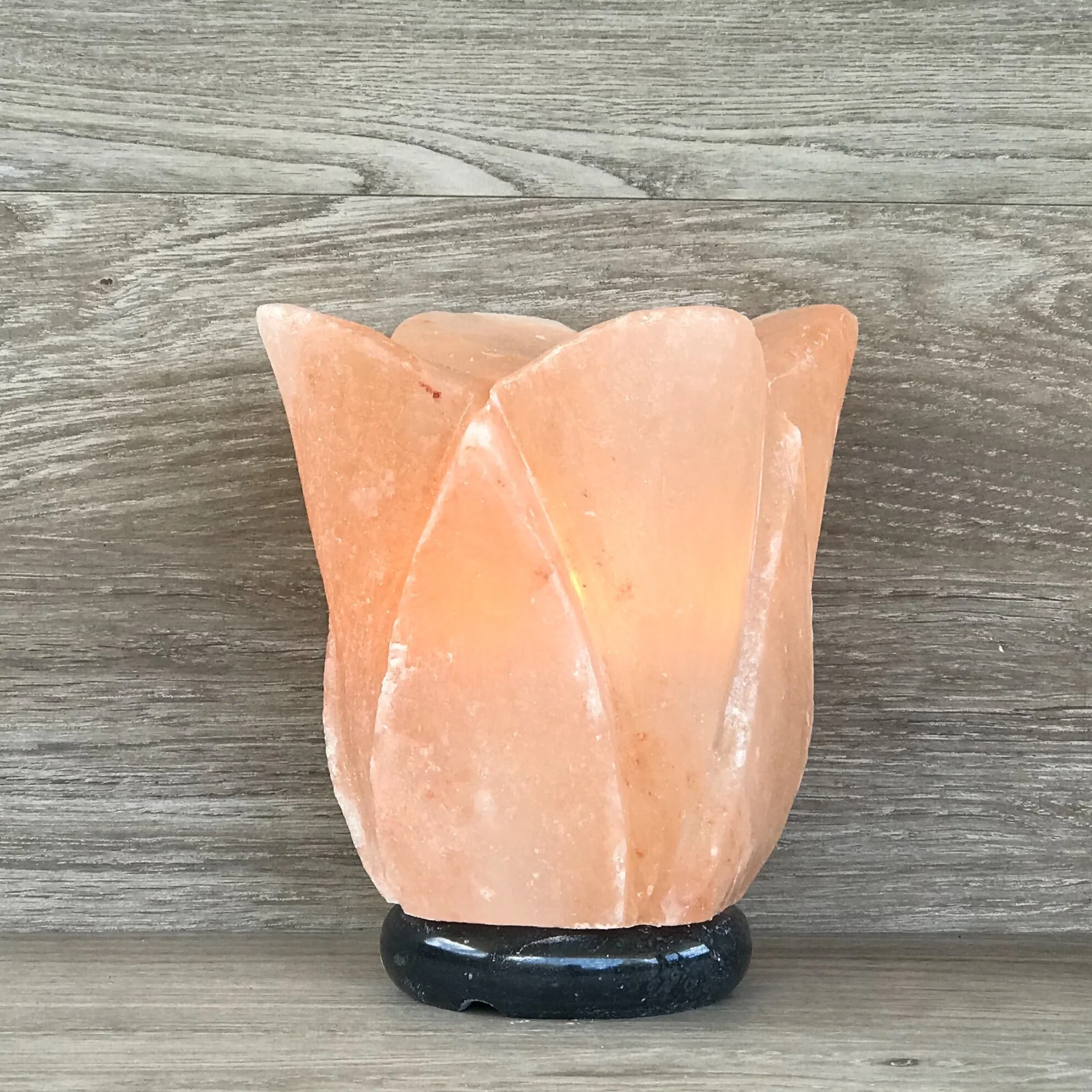 LOTUS FLOWER 3kg-5kg : Salt Lamp